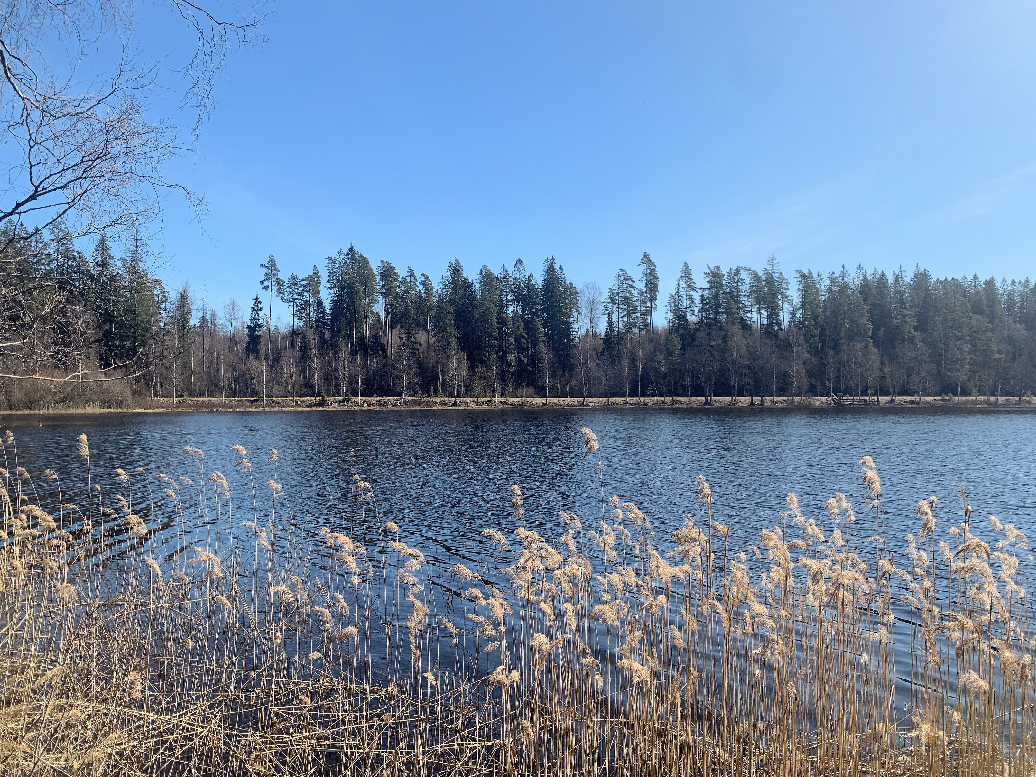 Transåssjön, Borås