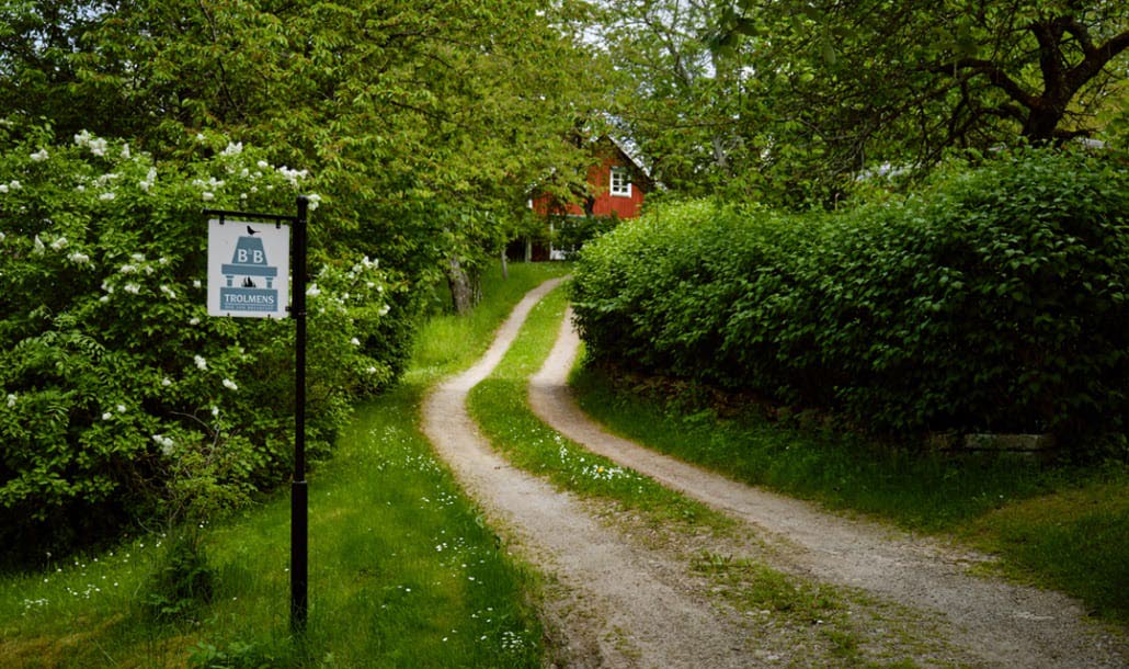 Gravel road and lush greenery to Trolmens Bed & Breakfast