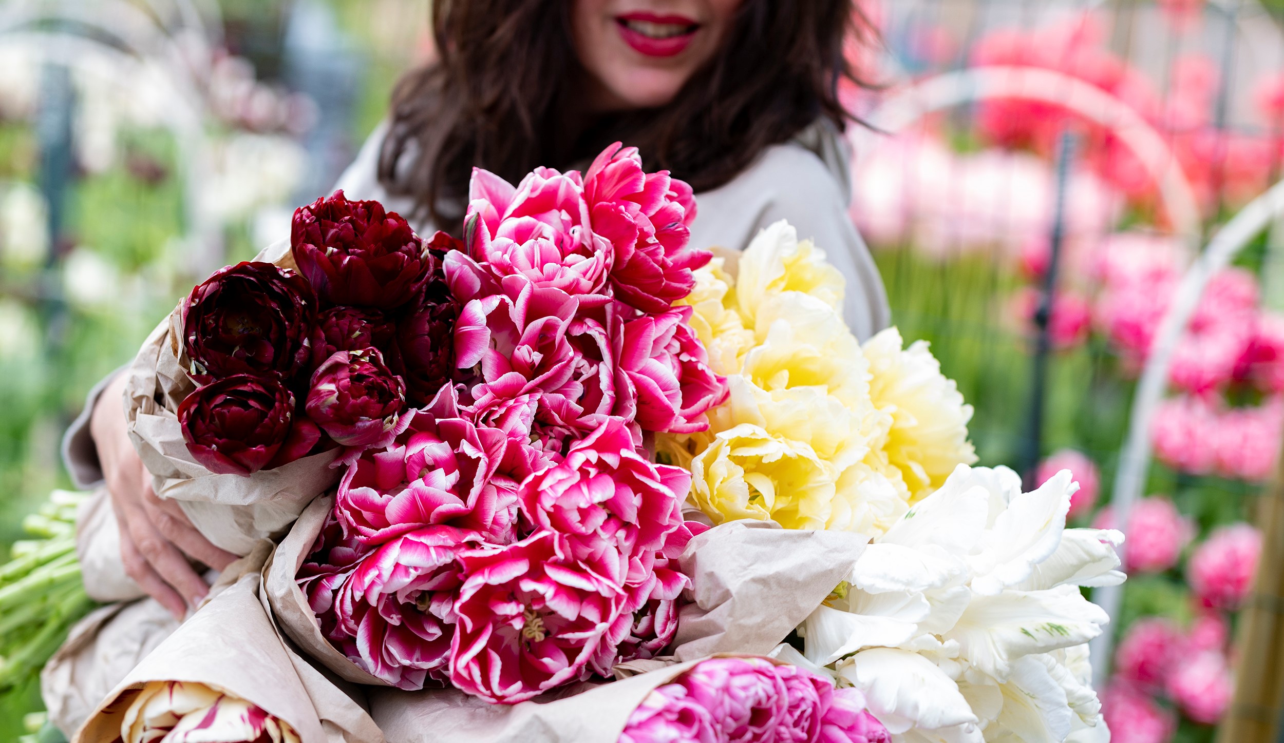 Blommor i olika färger.