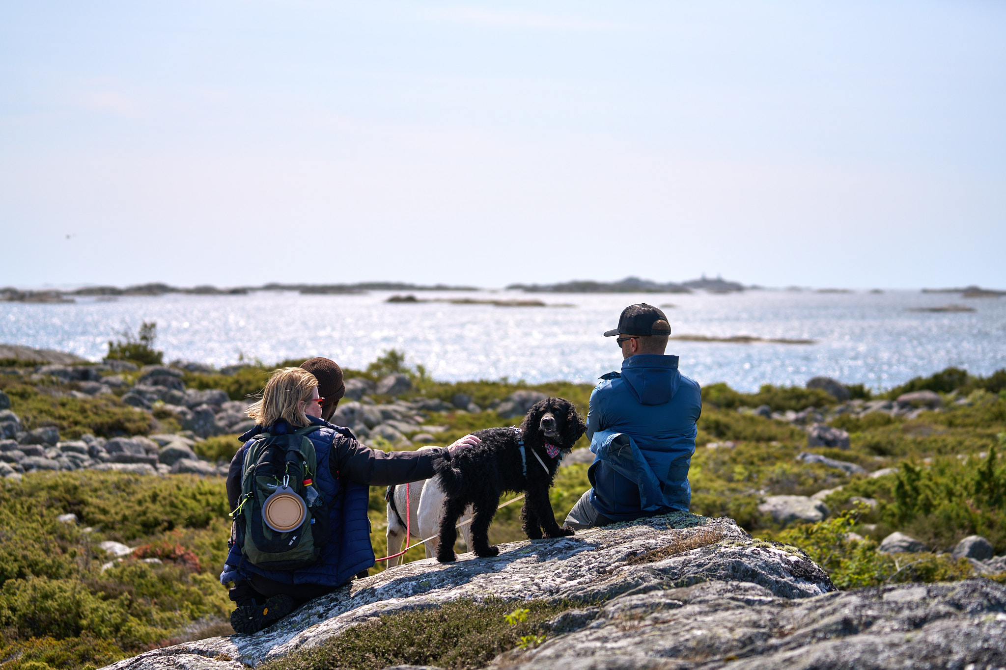 Two people with their dogs sit on a rock in Brevik, looking out over the sea in Kosterhavet National Park