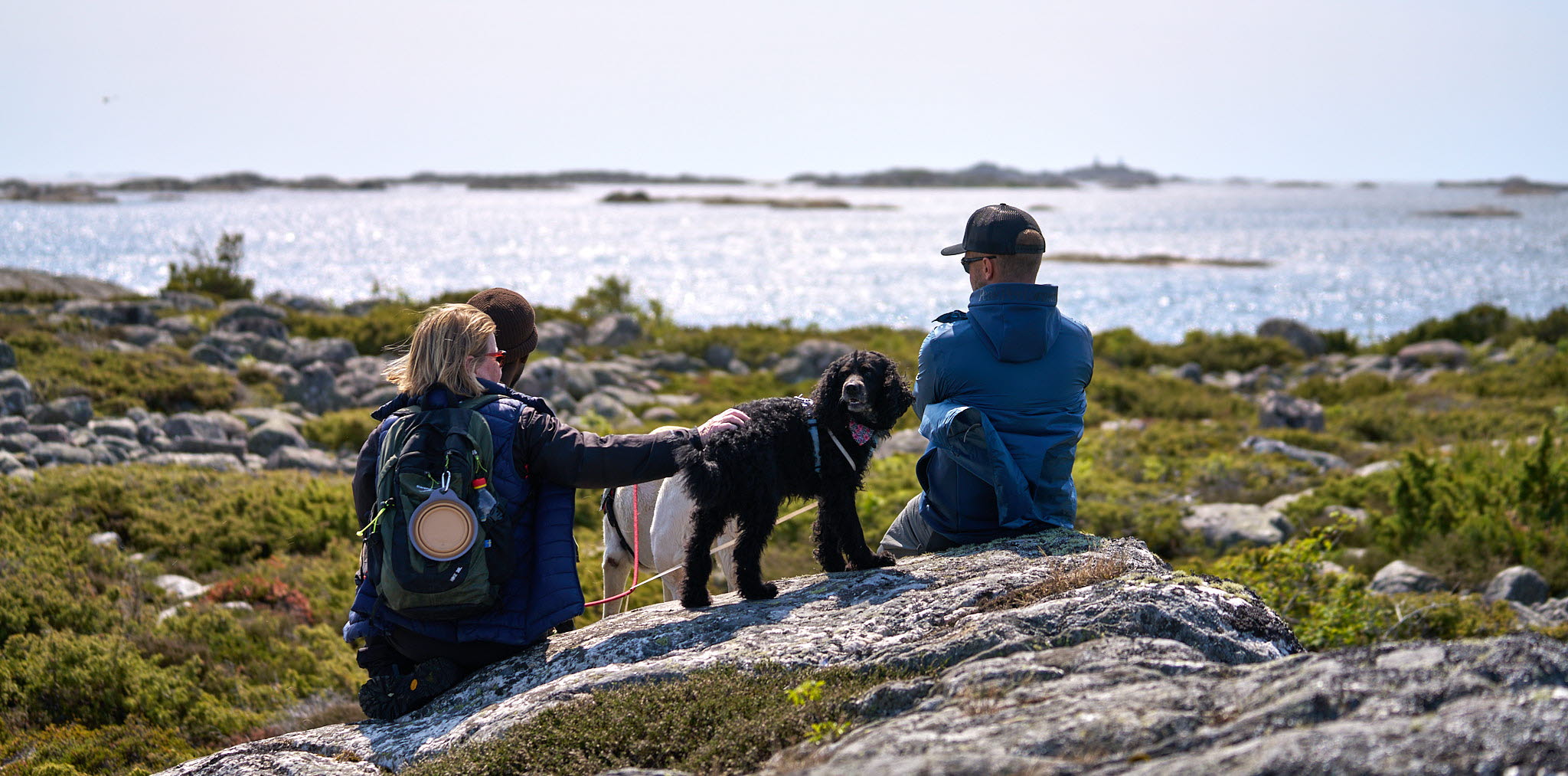 Två personer med varsin hund sitter på klippa i Brevik och ser ut över havet i Kosterhavets Nationalpark