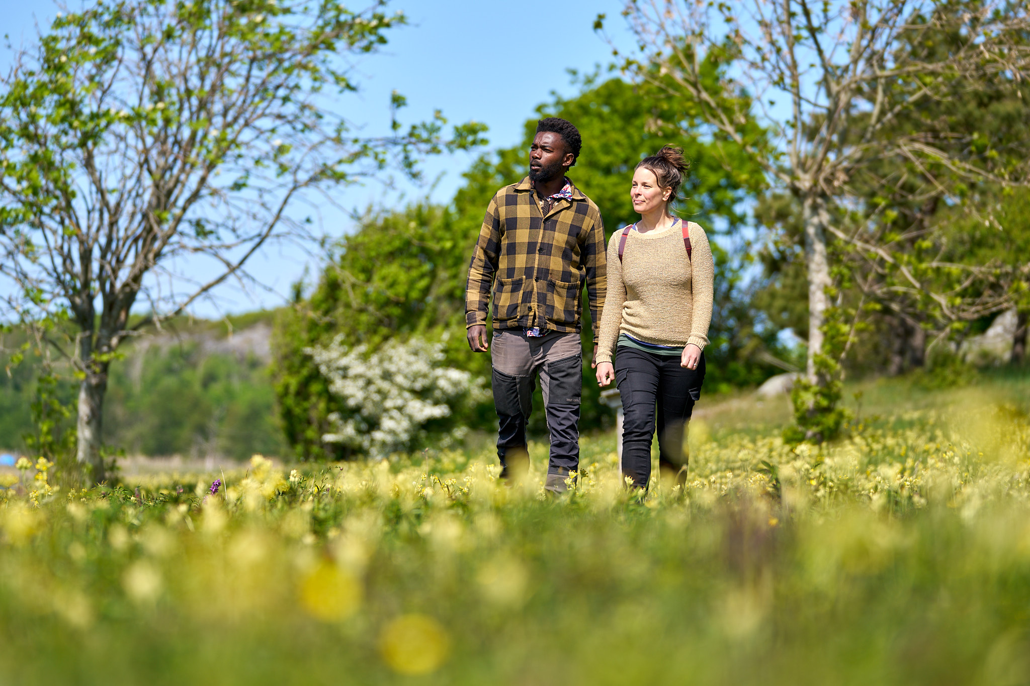 Two people hike through a flower meadow in Nästången, Kosterhavet National Park