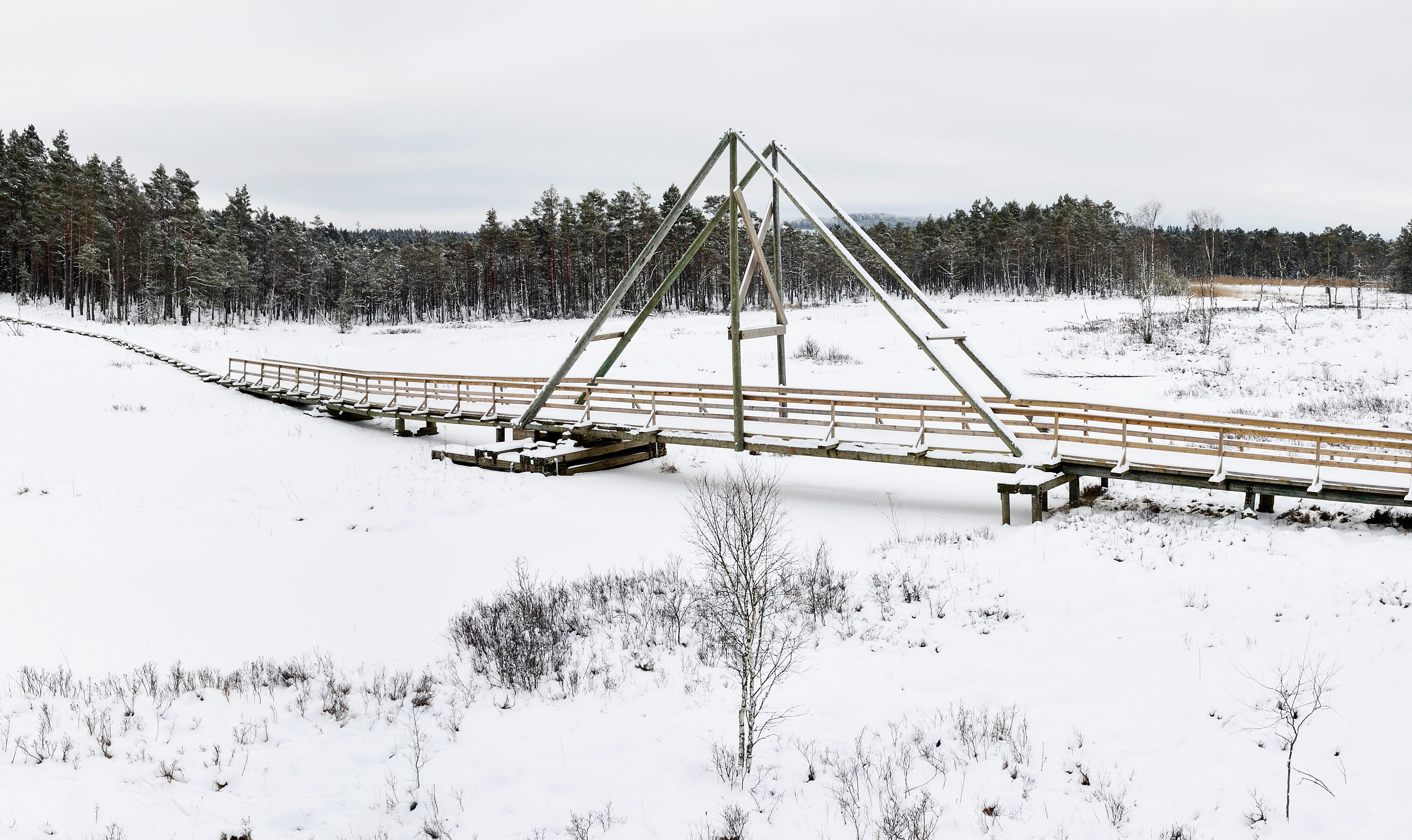 Bridge in a snowy winter landscape.