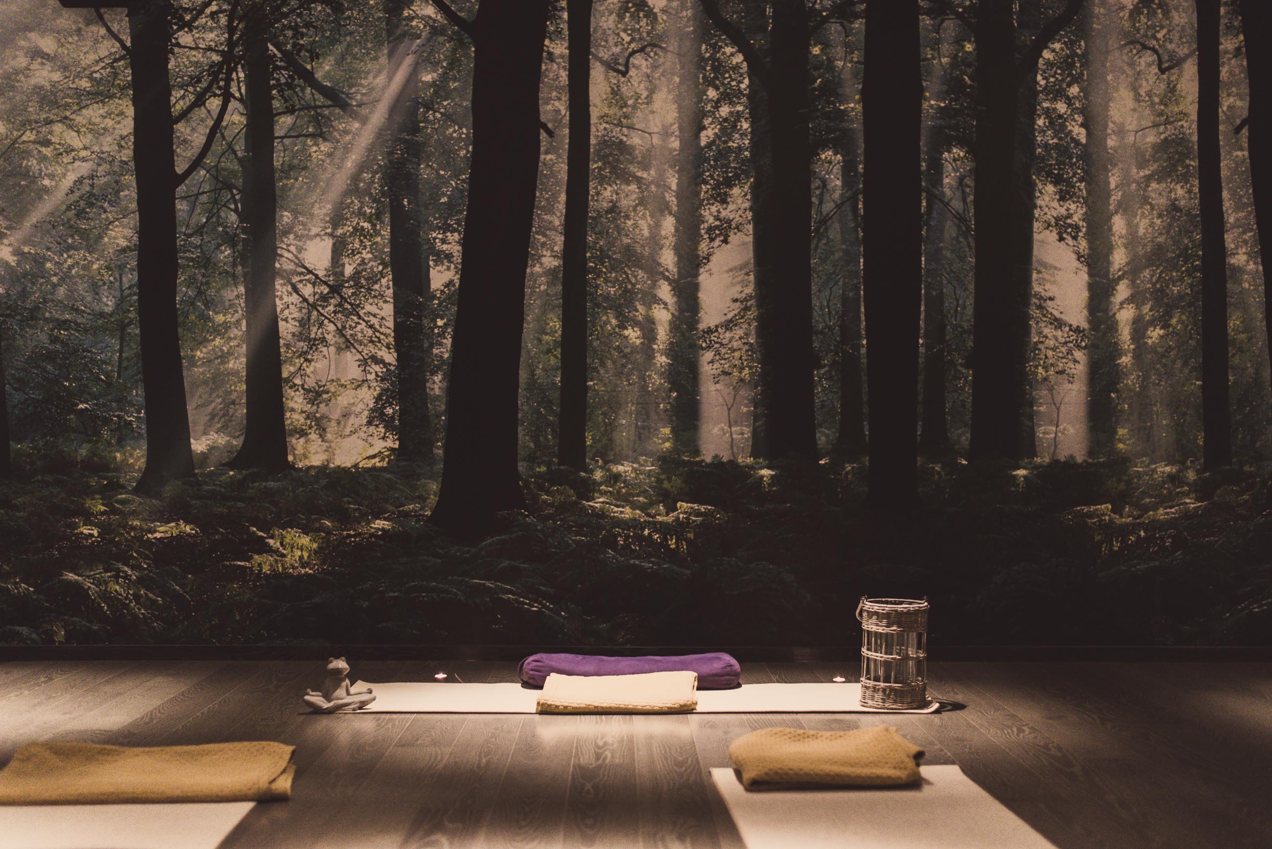 Mörk yogasal inredd för att utöva yoga.