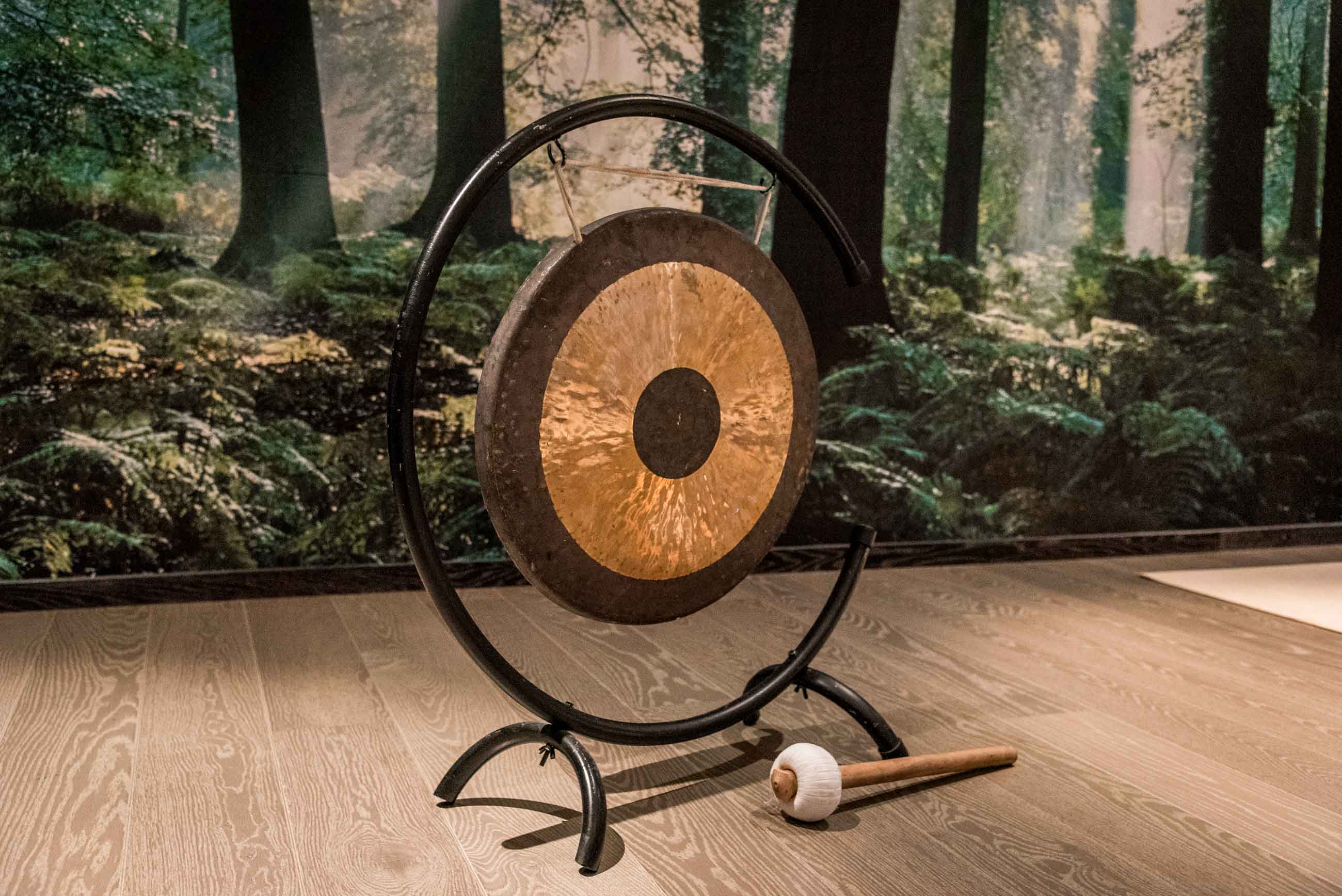 Mörk yogasal inredd för att utöva yoga, med en gong.