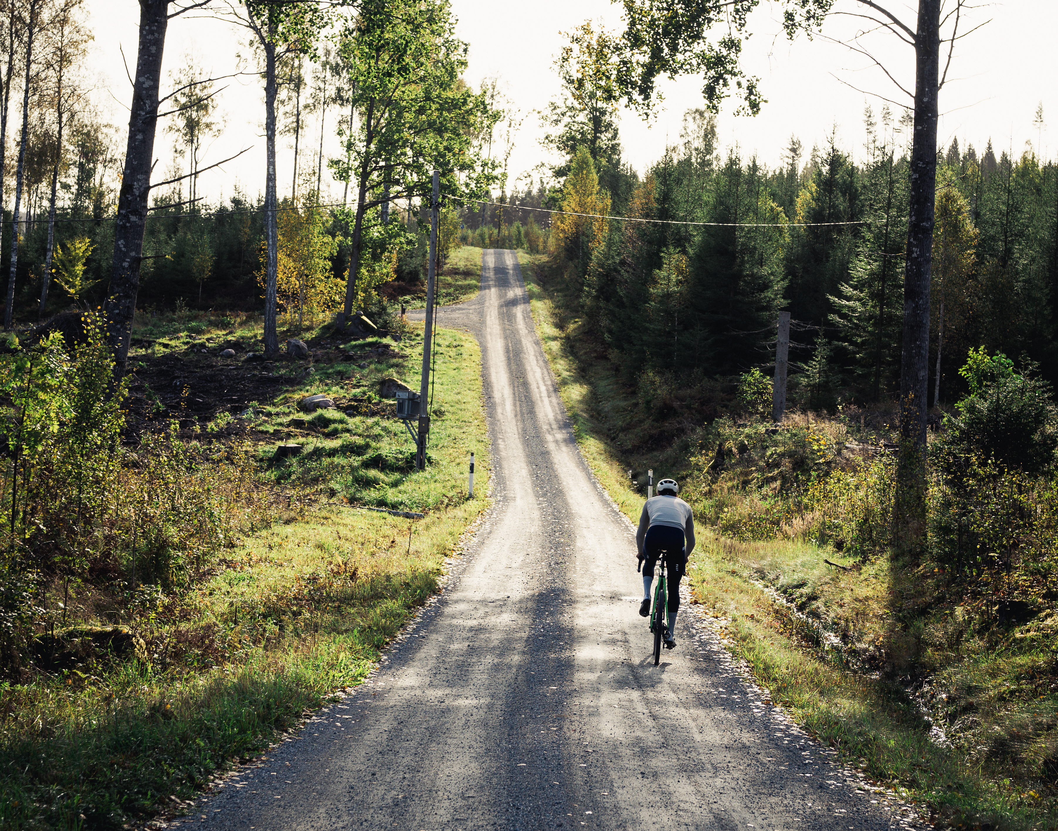 Cyclist on a dirt road in the forest.