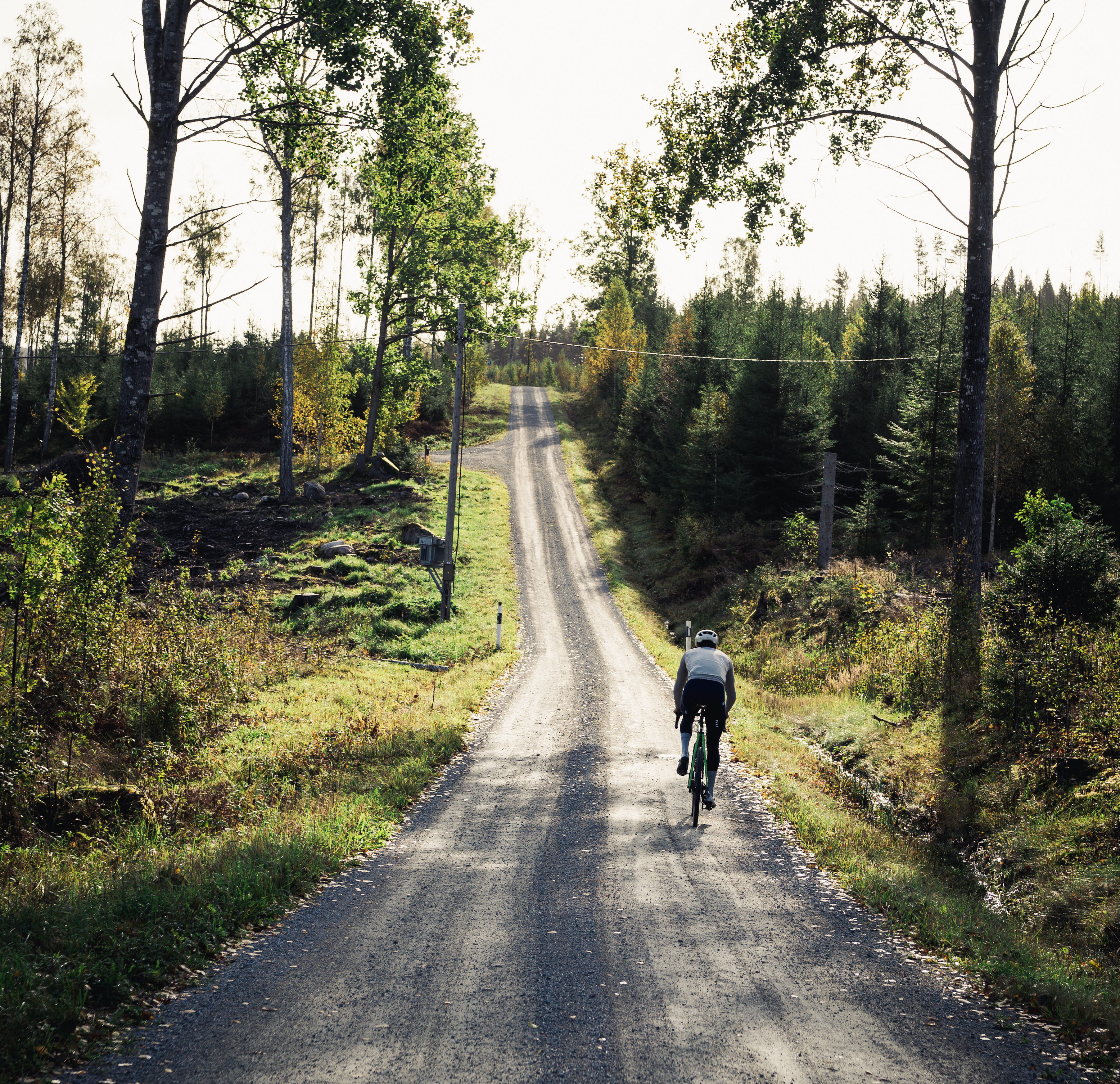 Cyclist on a dirt road in the forest.
