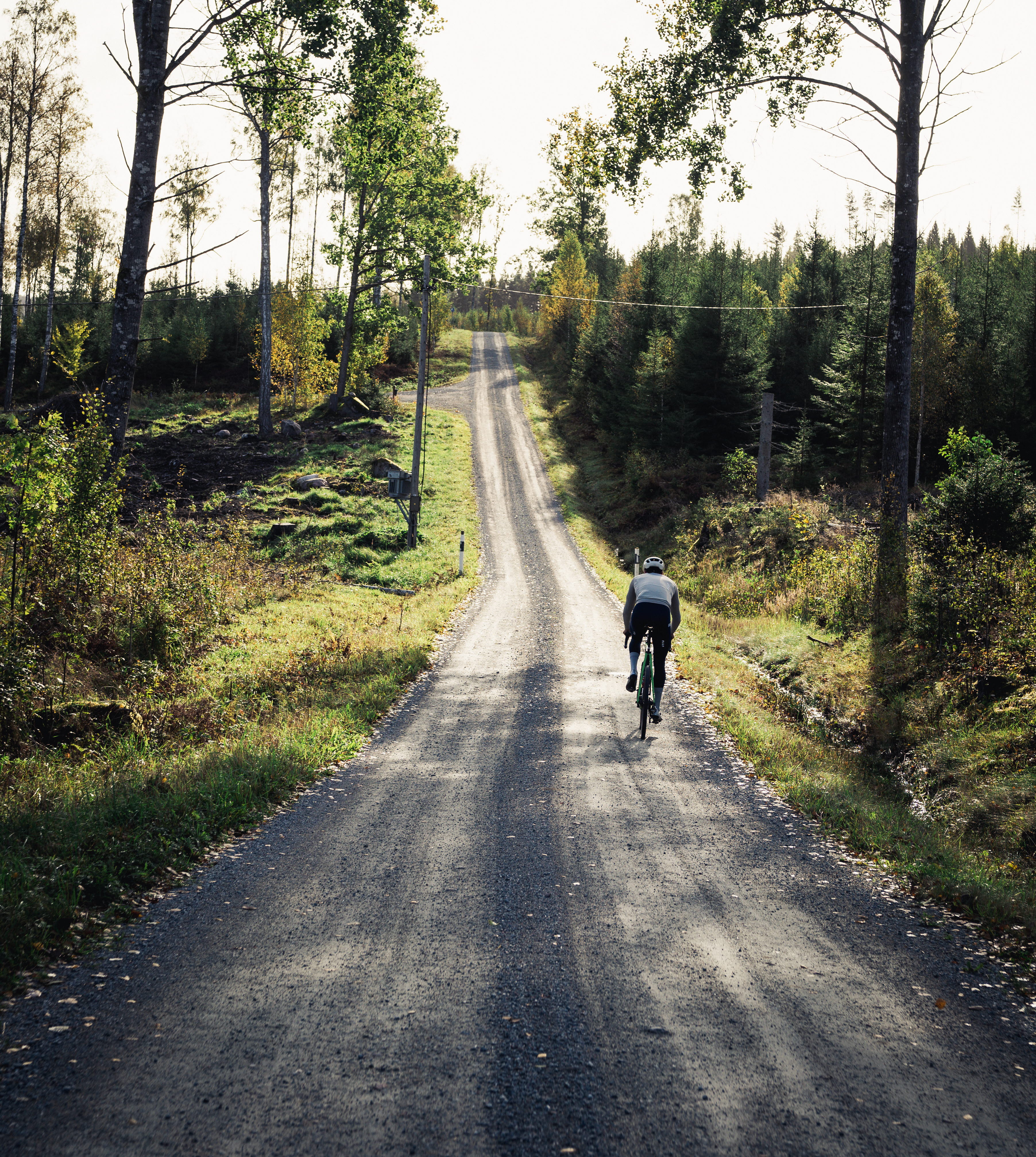 Cyclist on a dirt road in the forest.