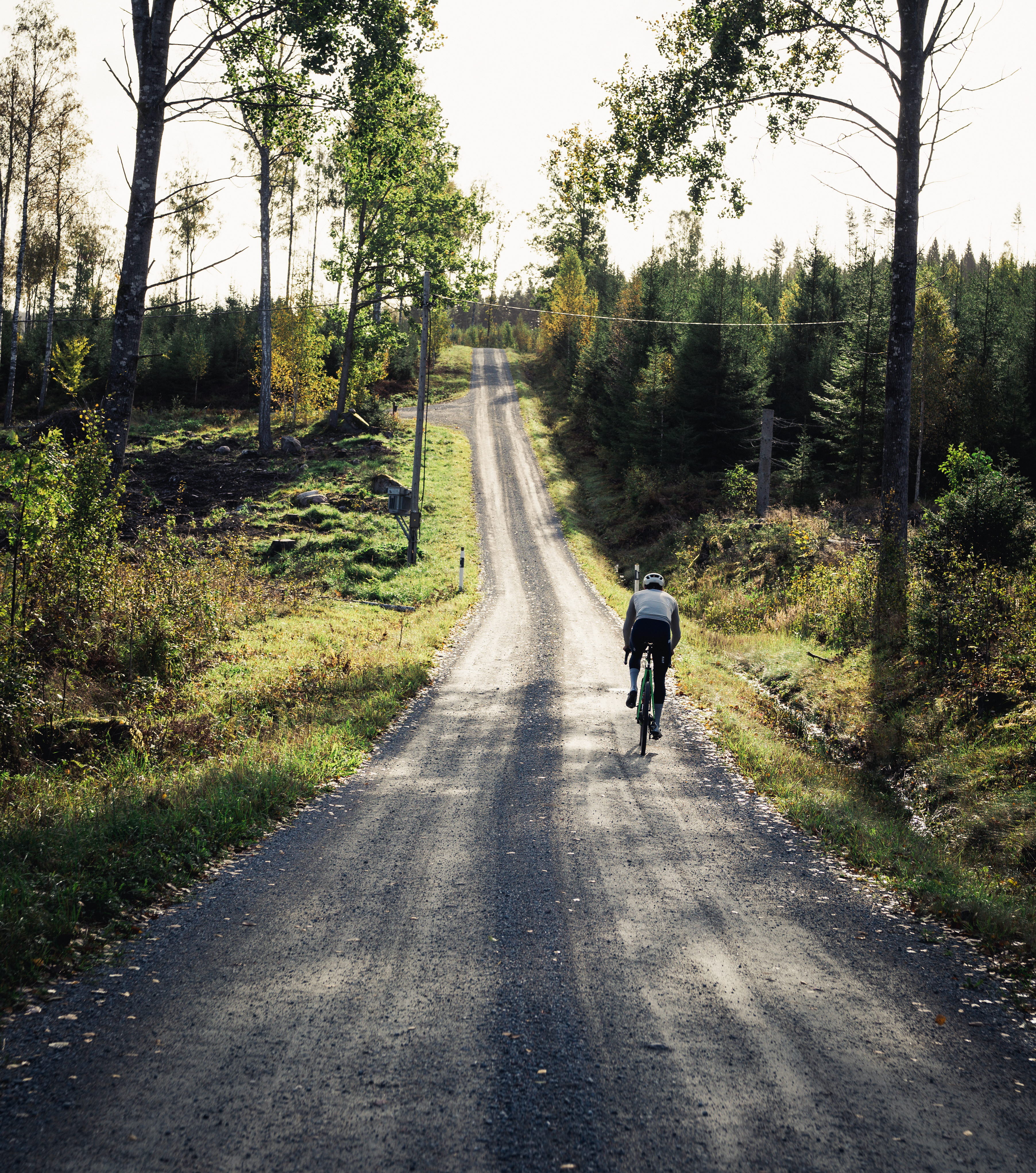 Cyclist on a dirt road in the forest.