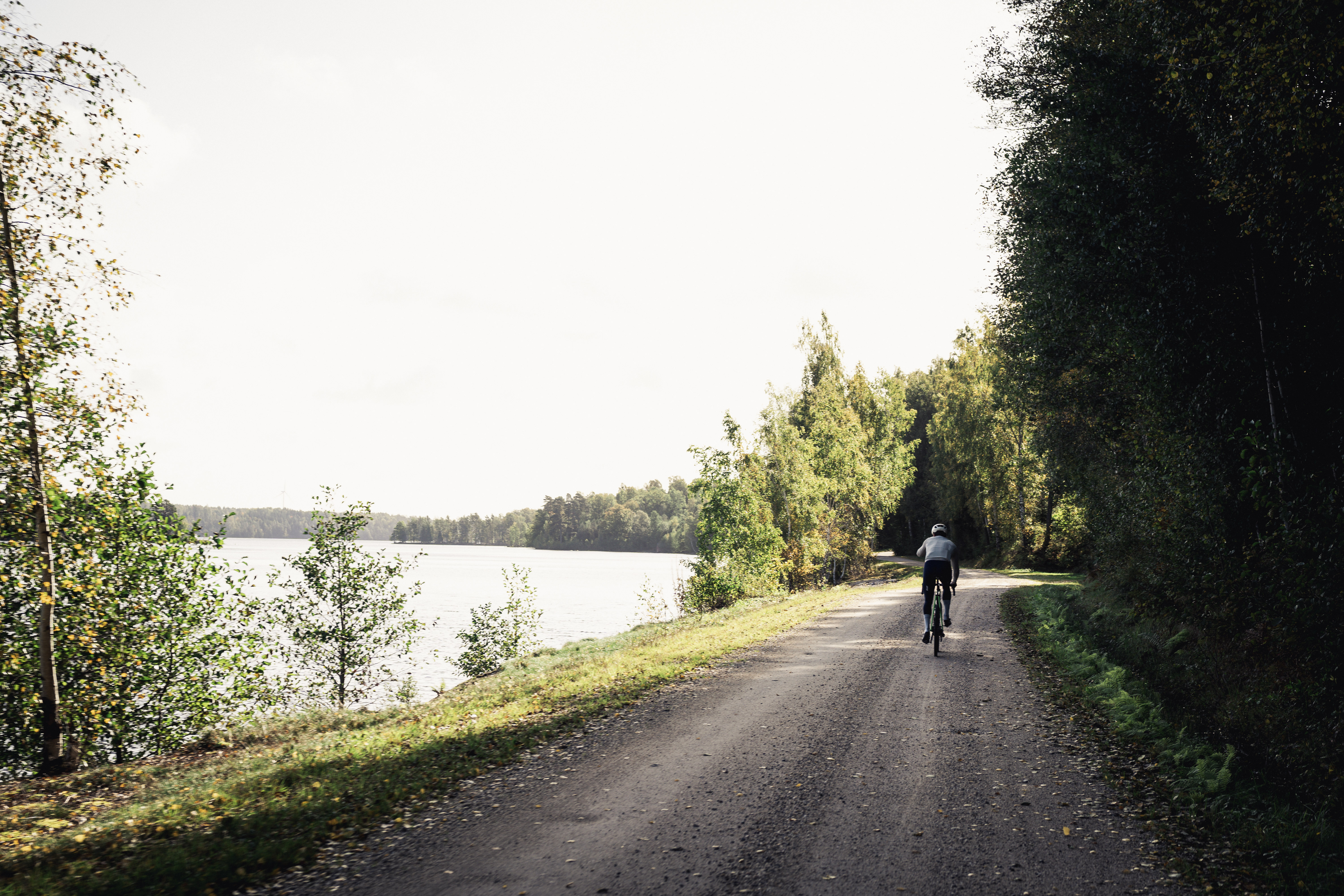 Cyclist on a dirt road in the forest.