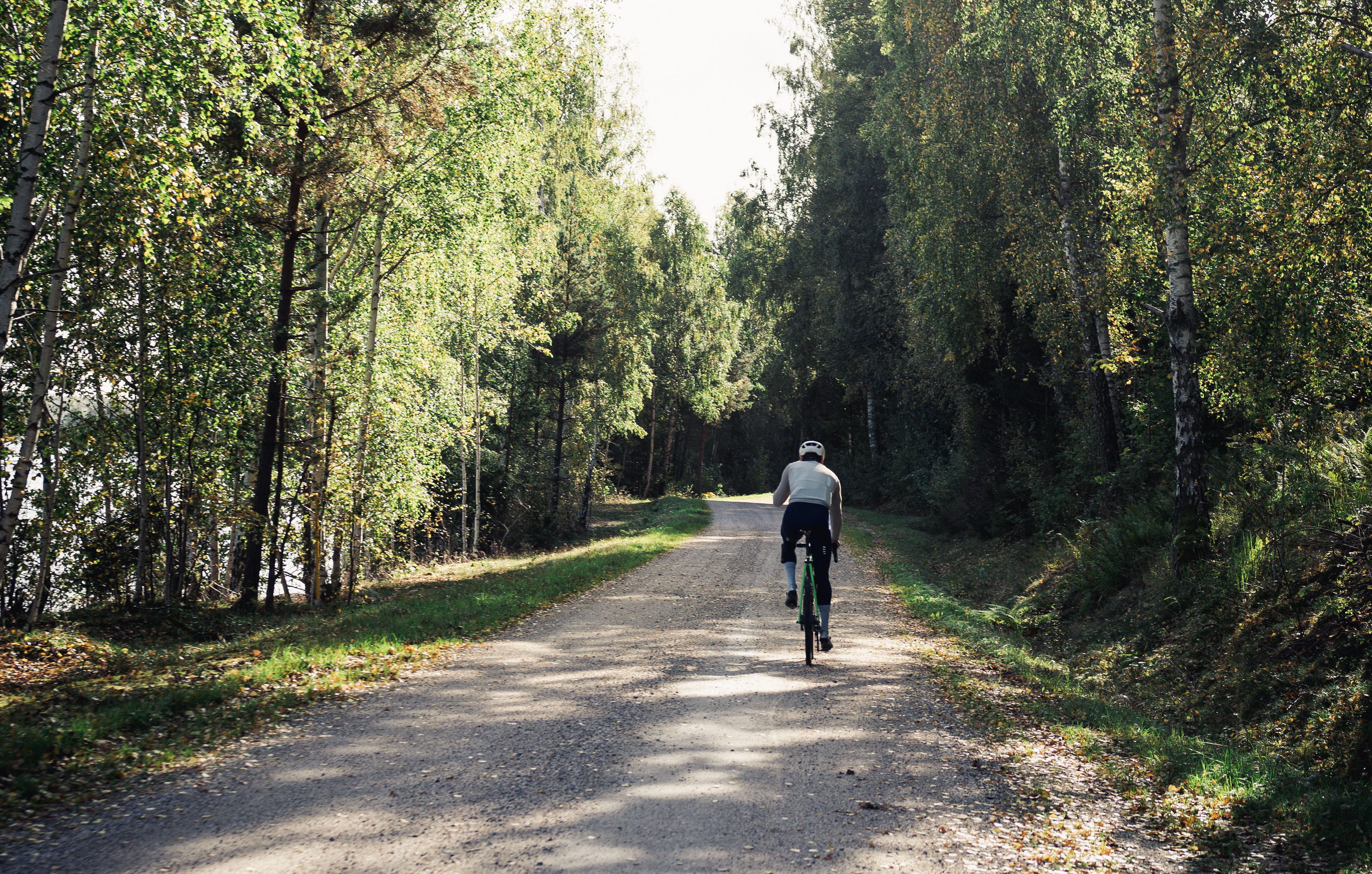 Cyclist on a dirt road in the forest.