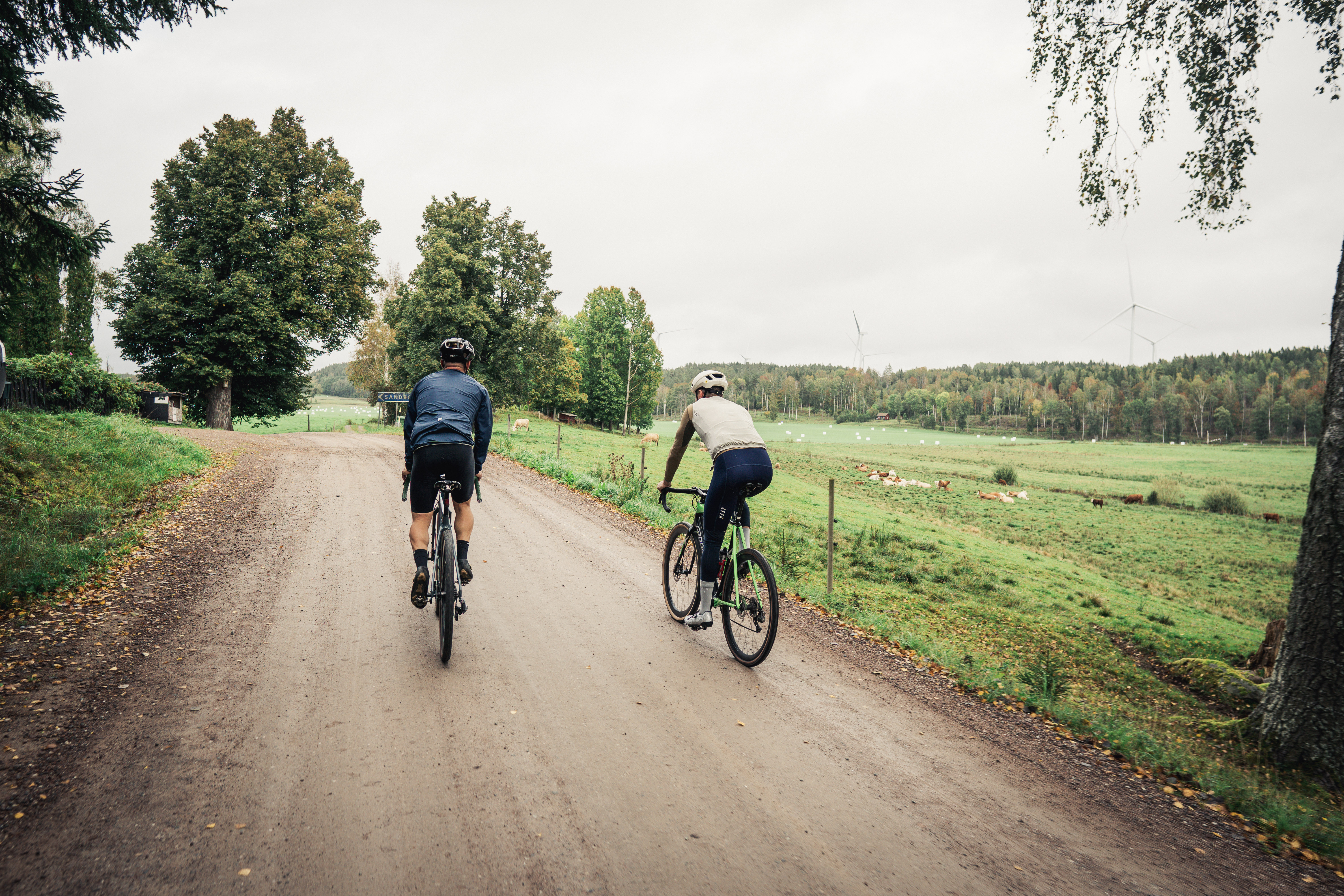 Cyclists on a dirt road in the forest.