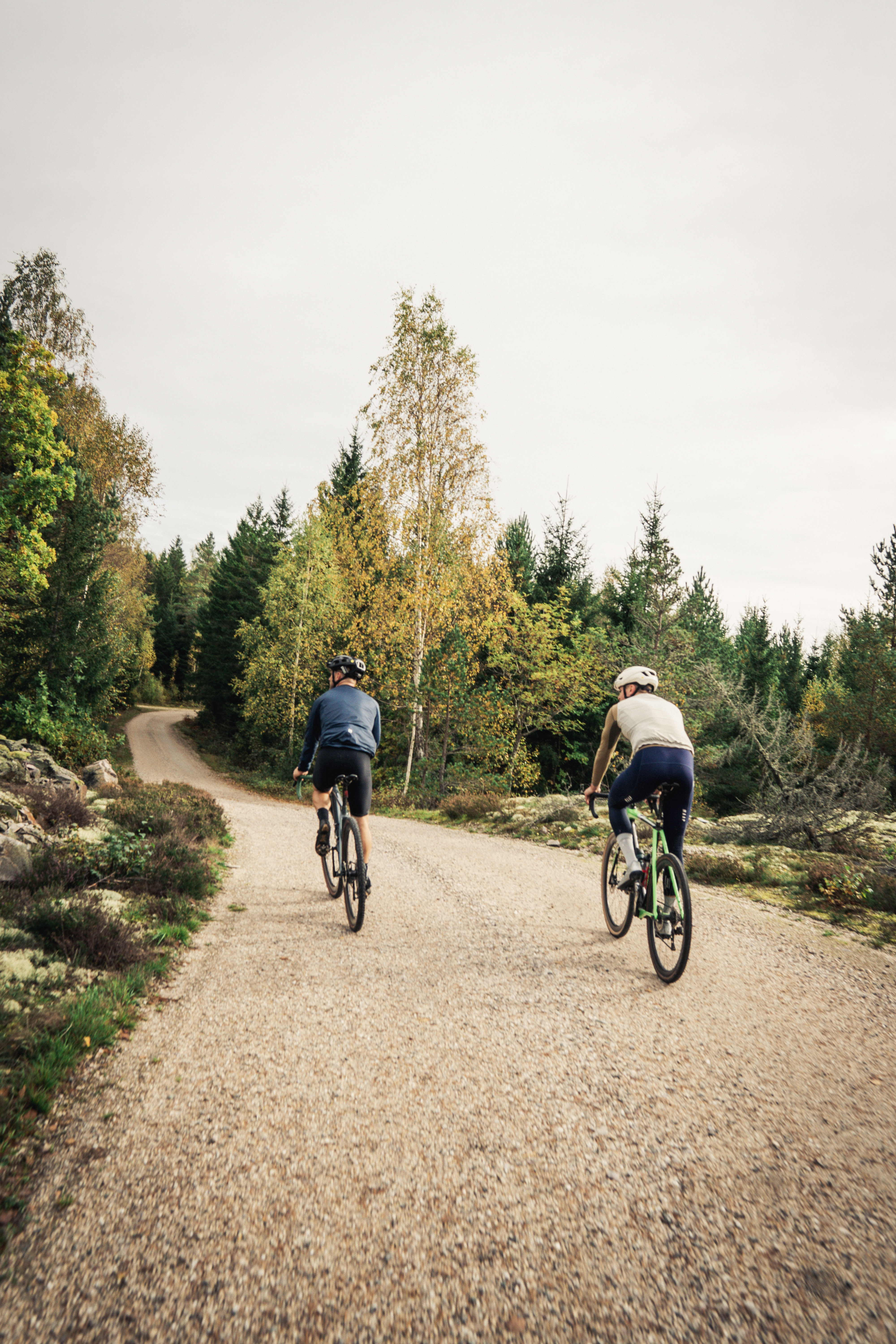 Cyclists on a dirt road in the forest.