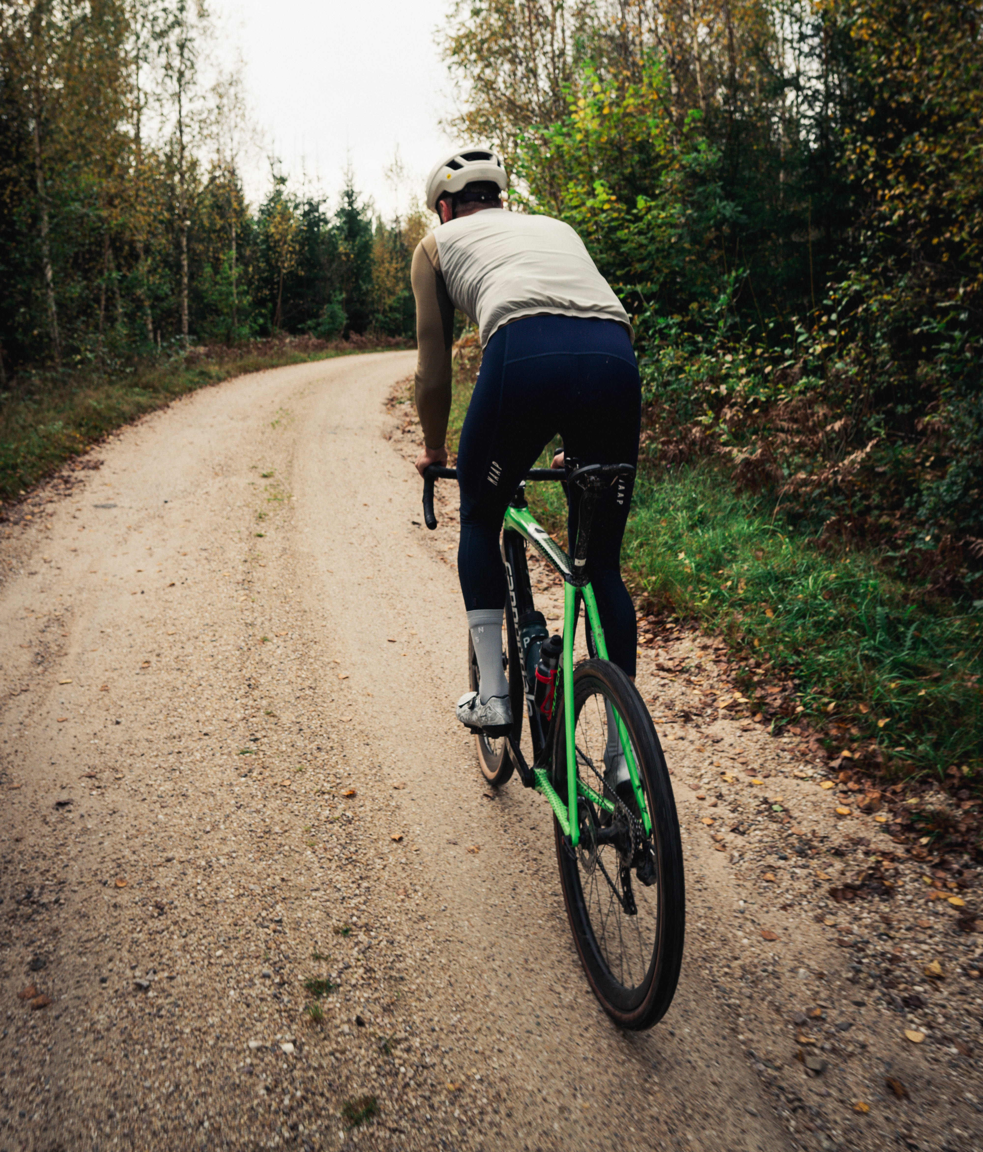 Cyclists on a dirt road in the forest.