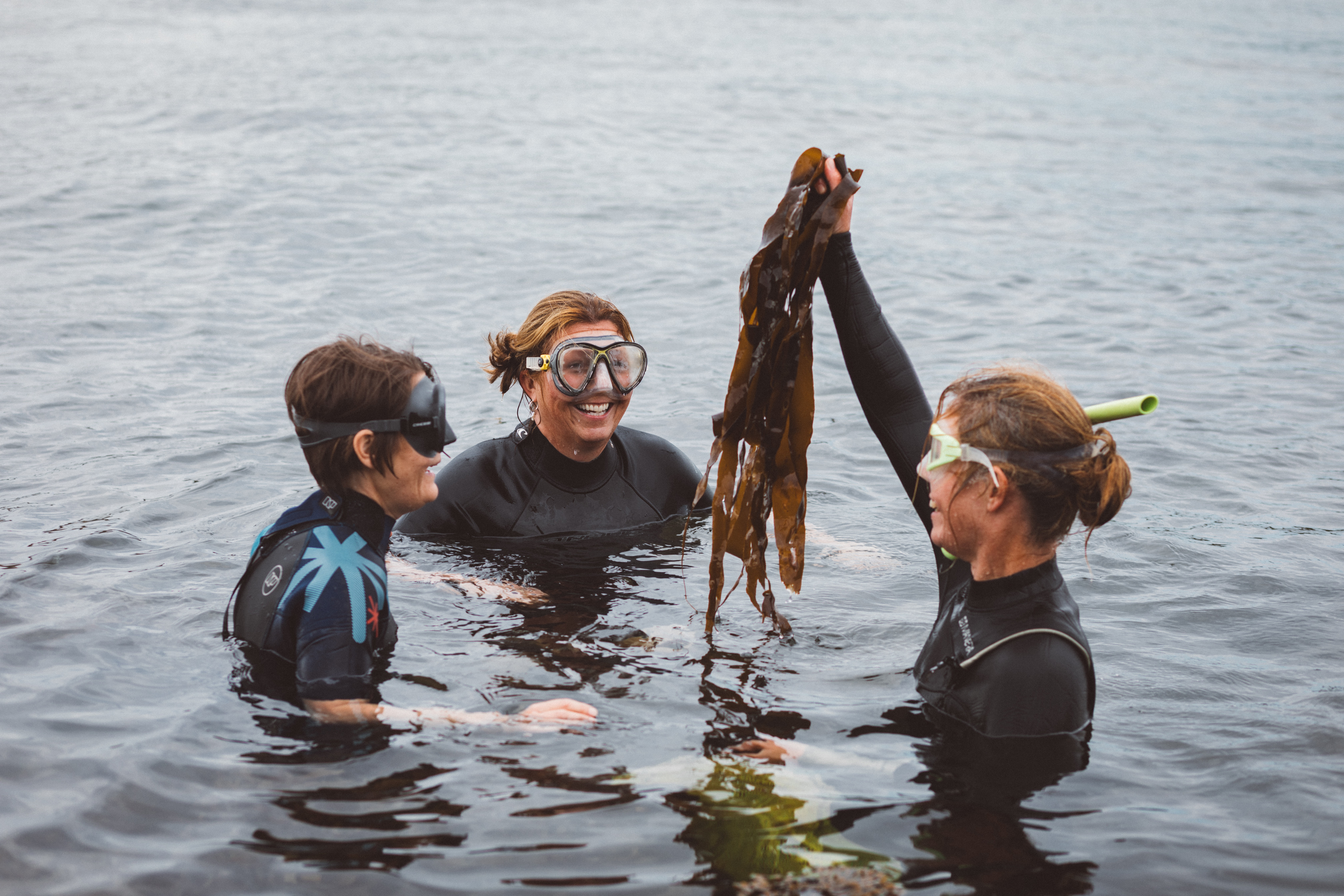 Group of people learning about seaweed.
