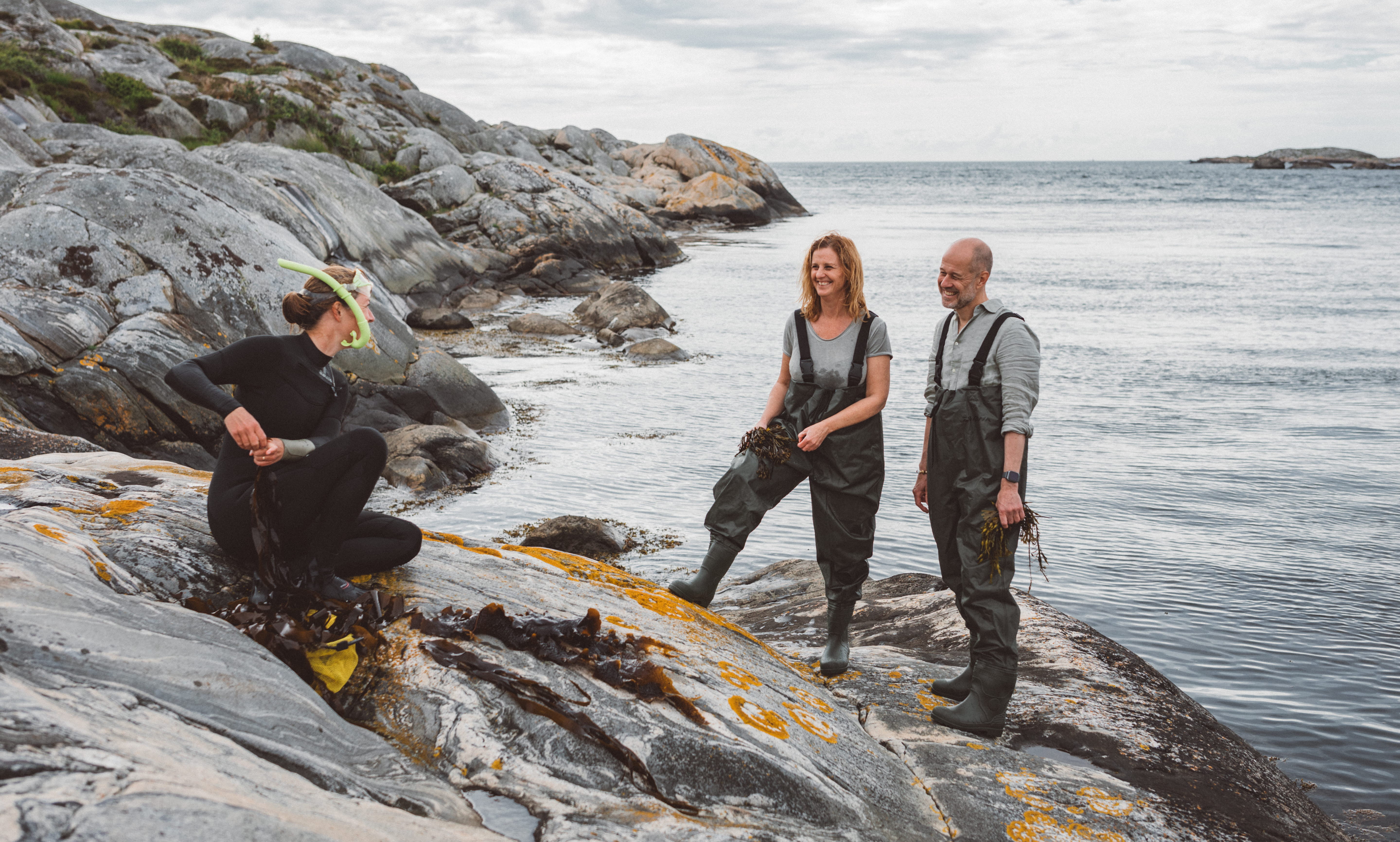 Grupp av människor lär sig om tång.