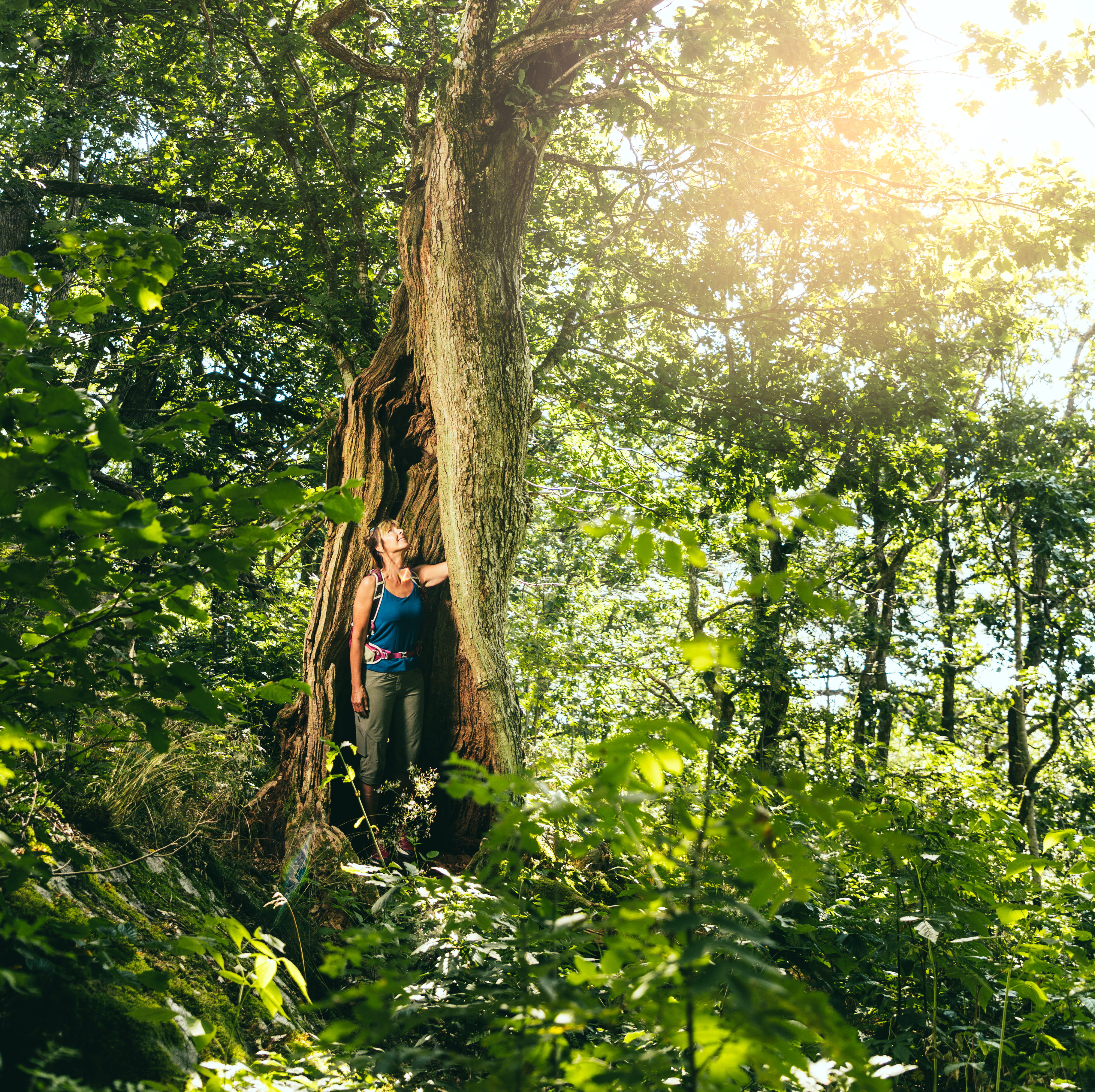 Hike at Åsundenleden