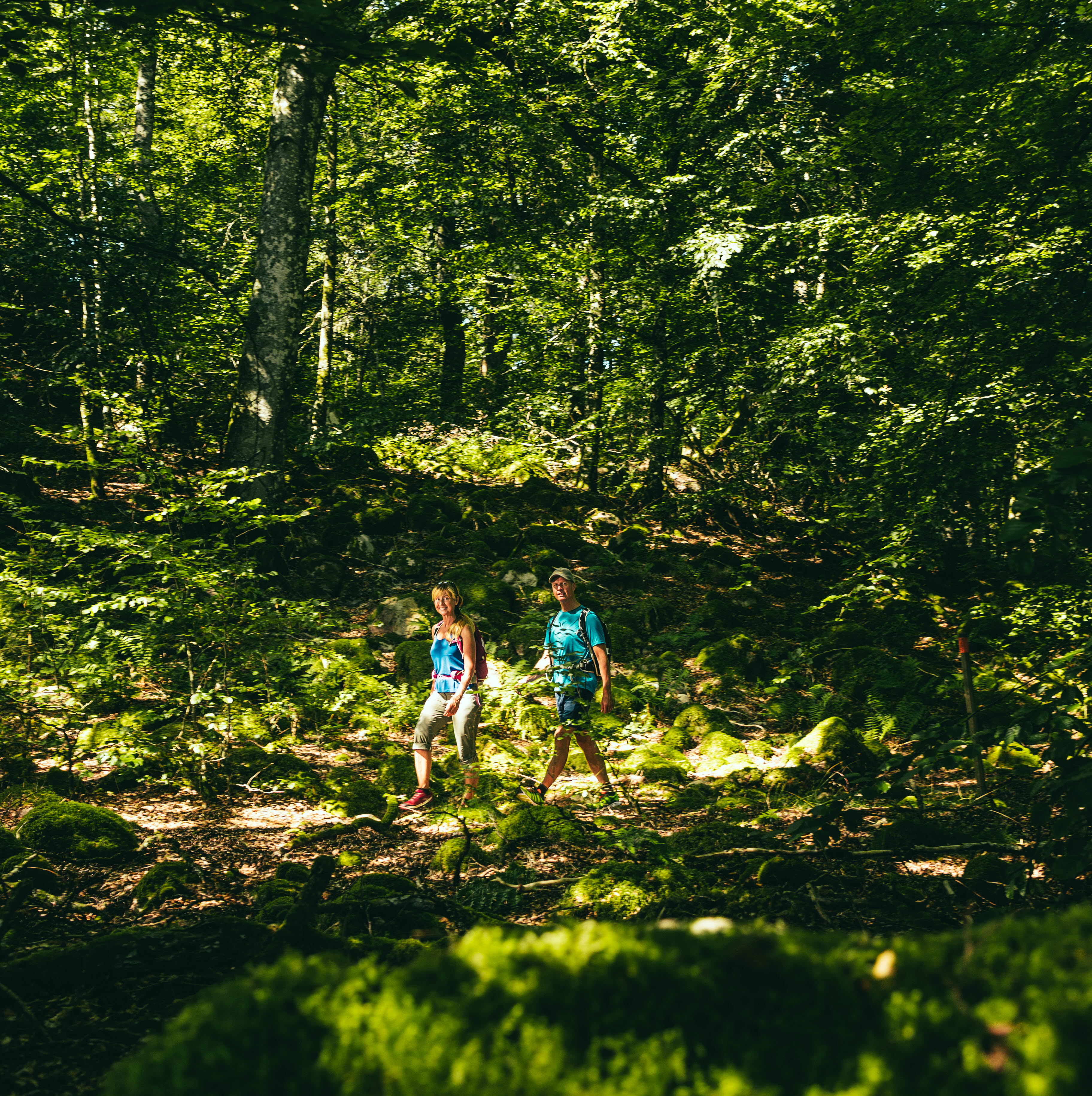 Vandring på Åsundenleden