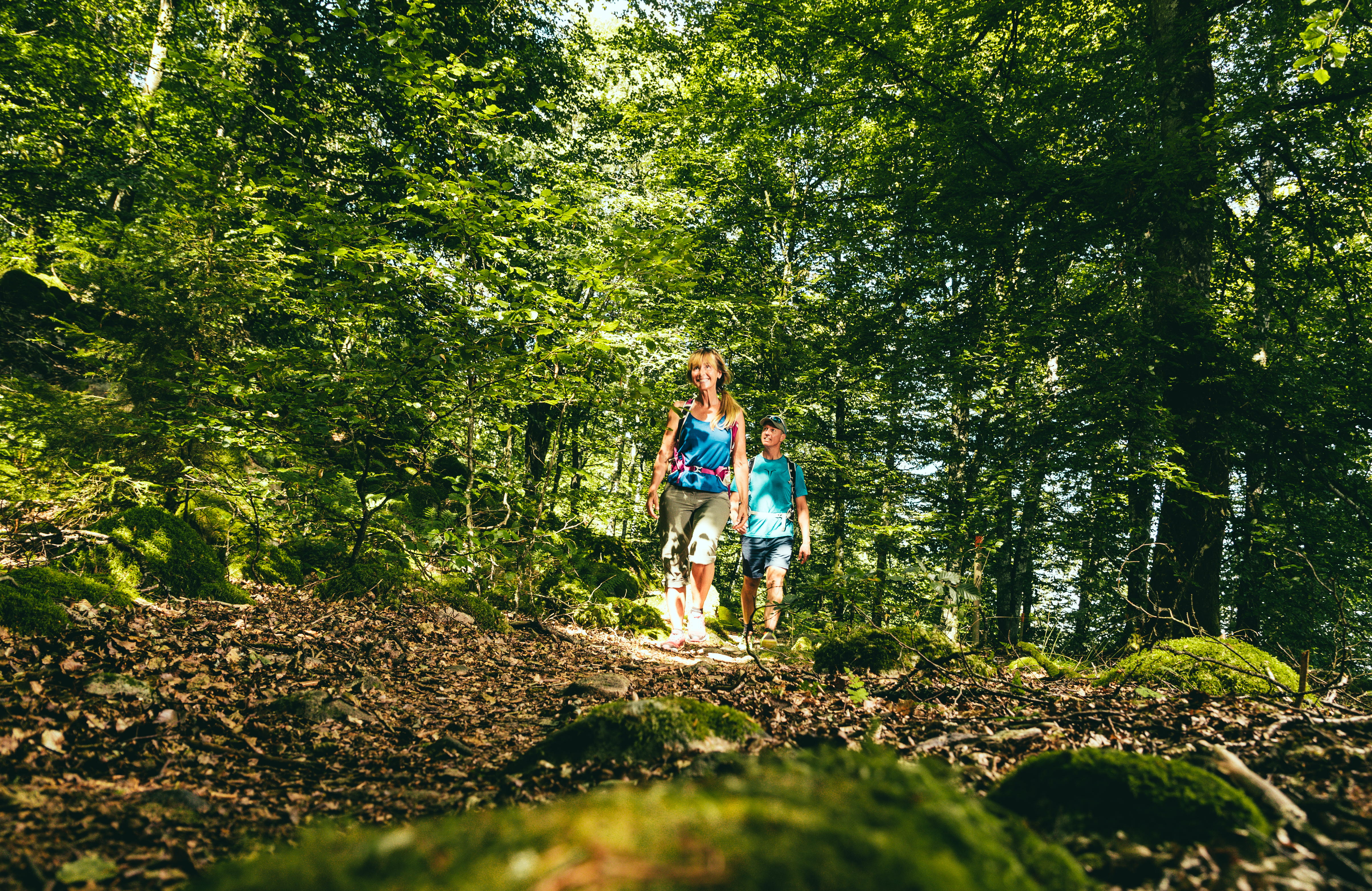 Hike at Åsundenleden