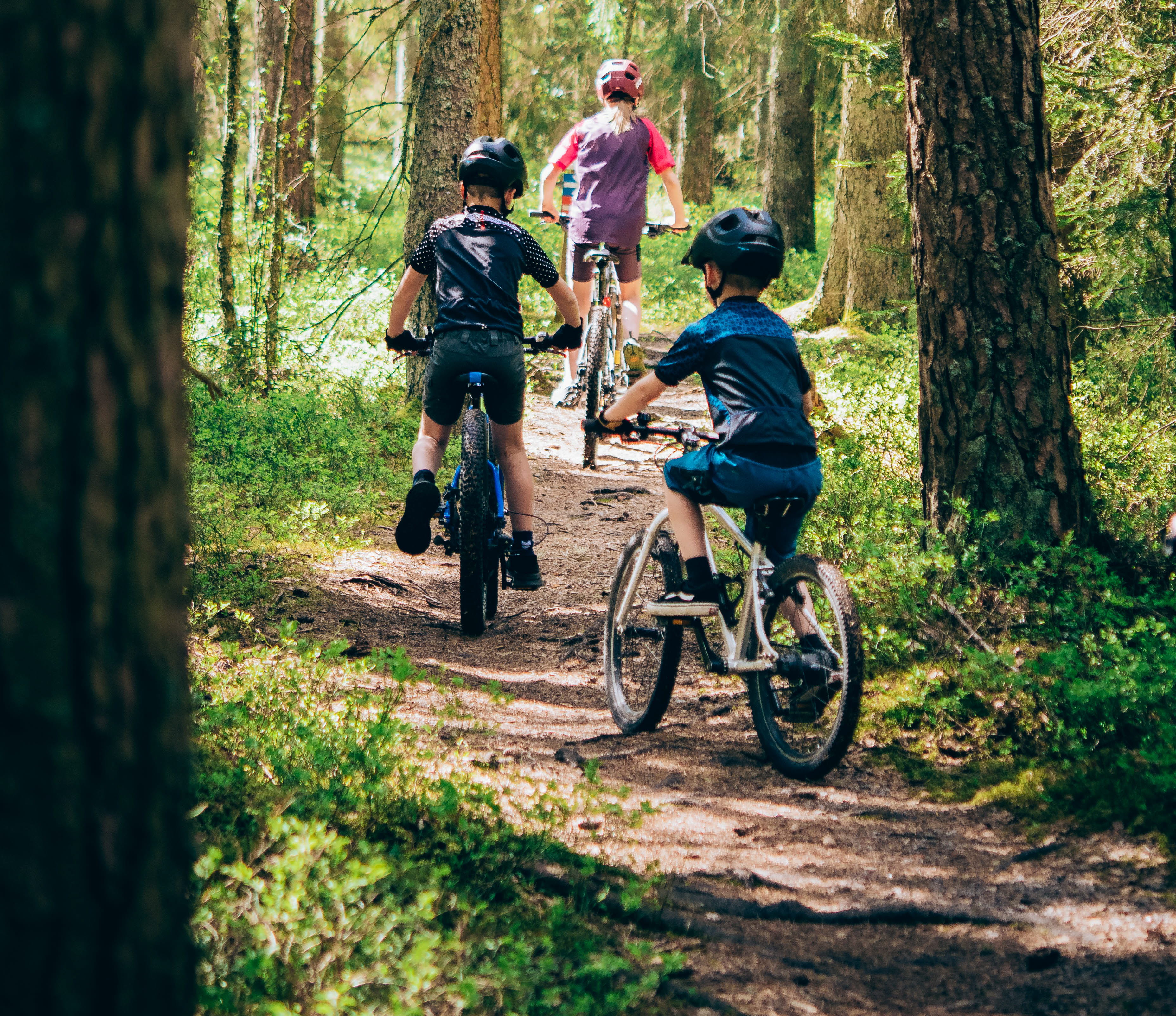 Aktiva barn cyklar på Billingen.