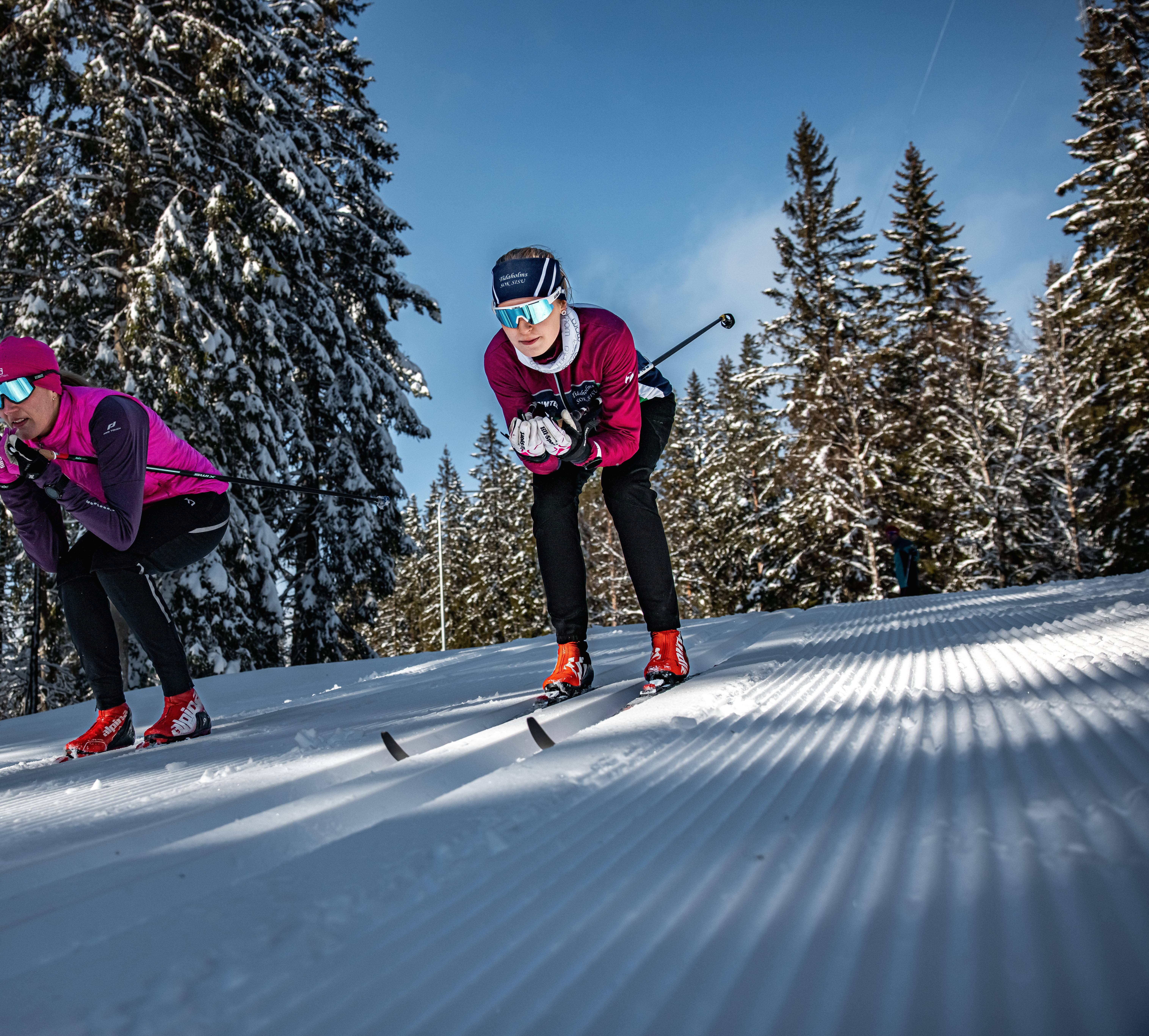 Skidåkare på Billingen