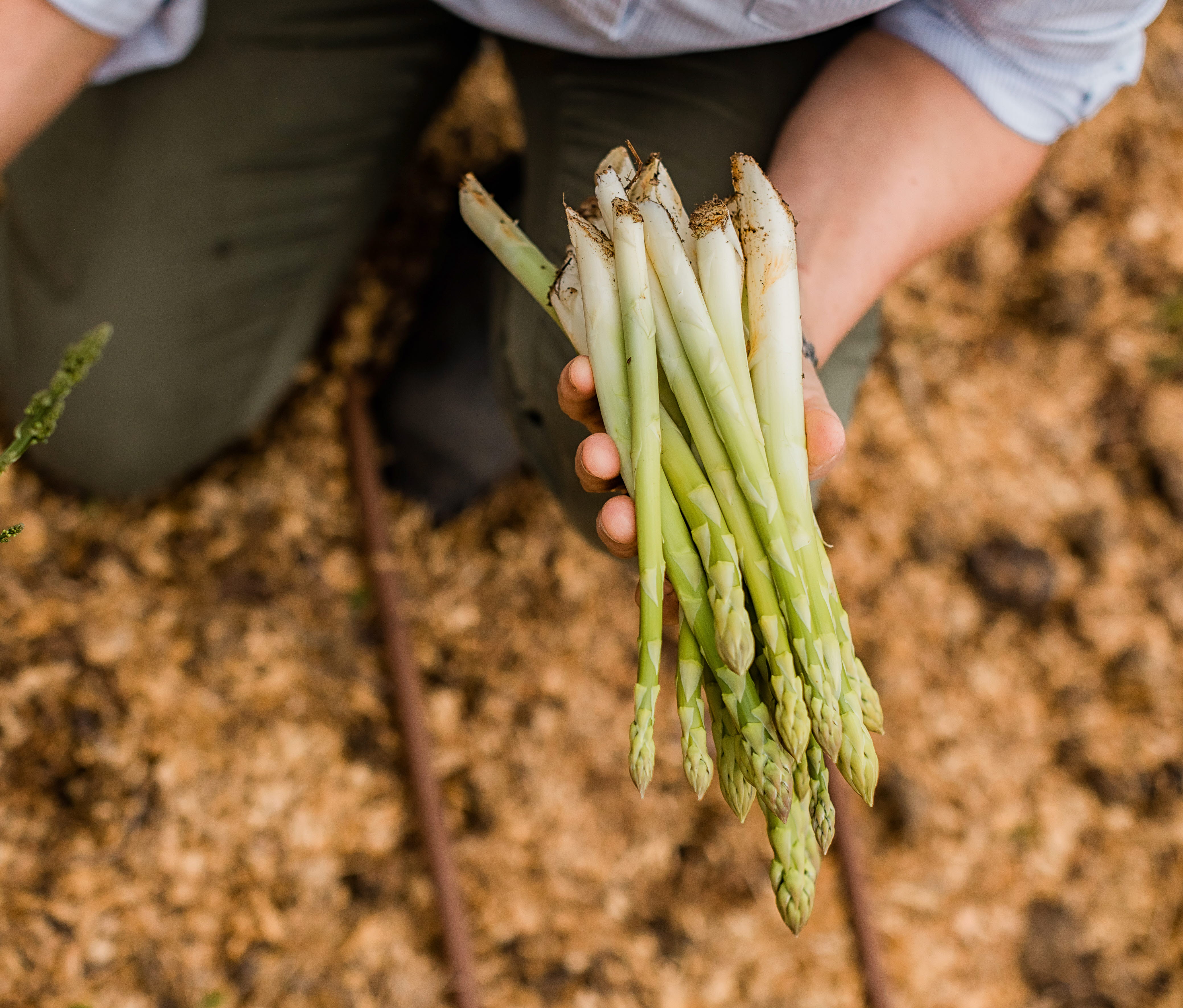 Trädgårdsmästare vid Björnhyltans Trädgård