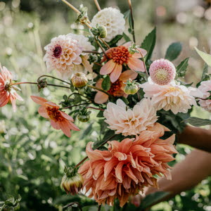 Blommor för självplock