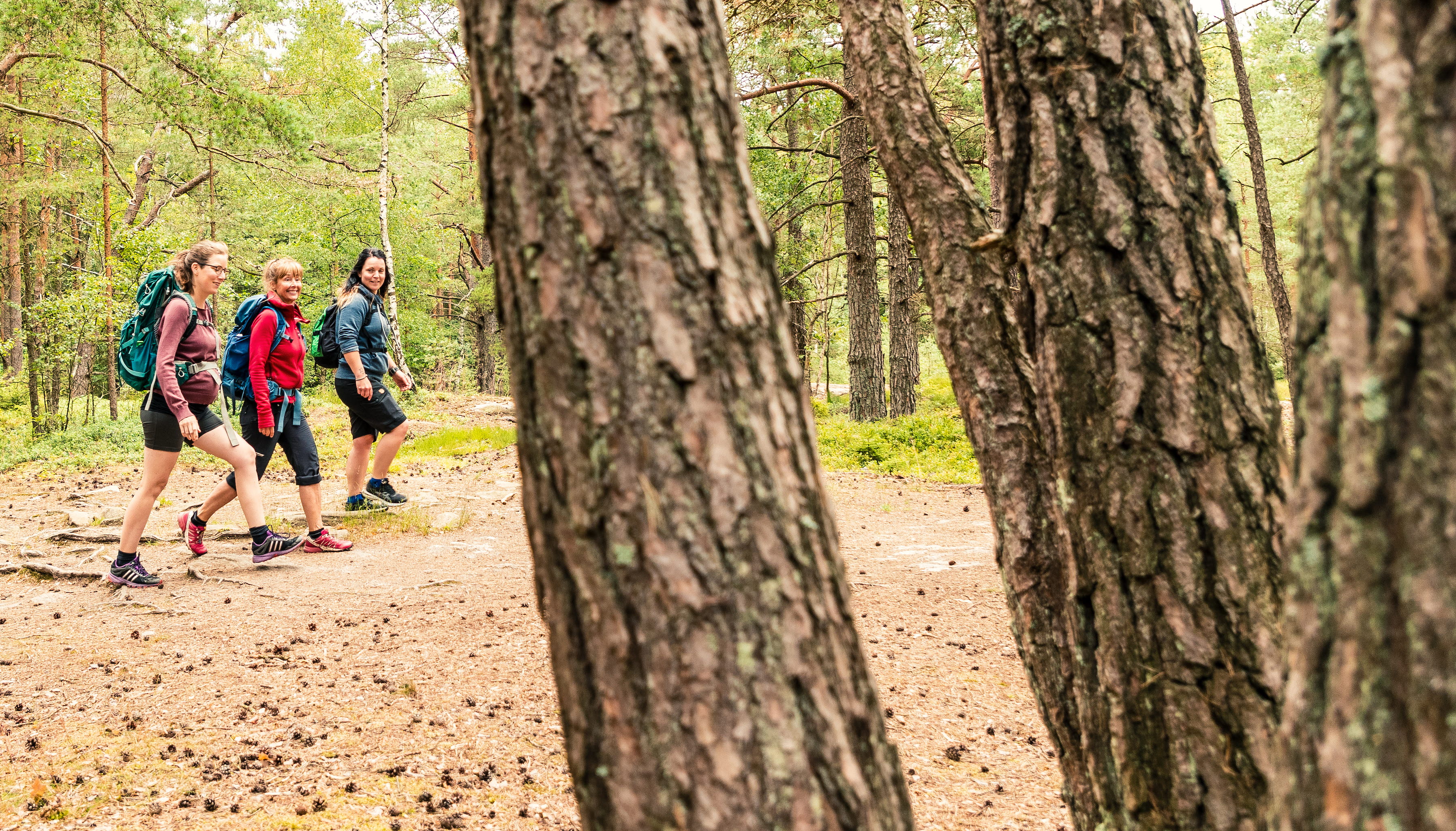 Vandrare längst med Bohusleden