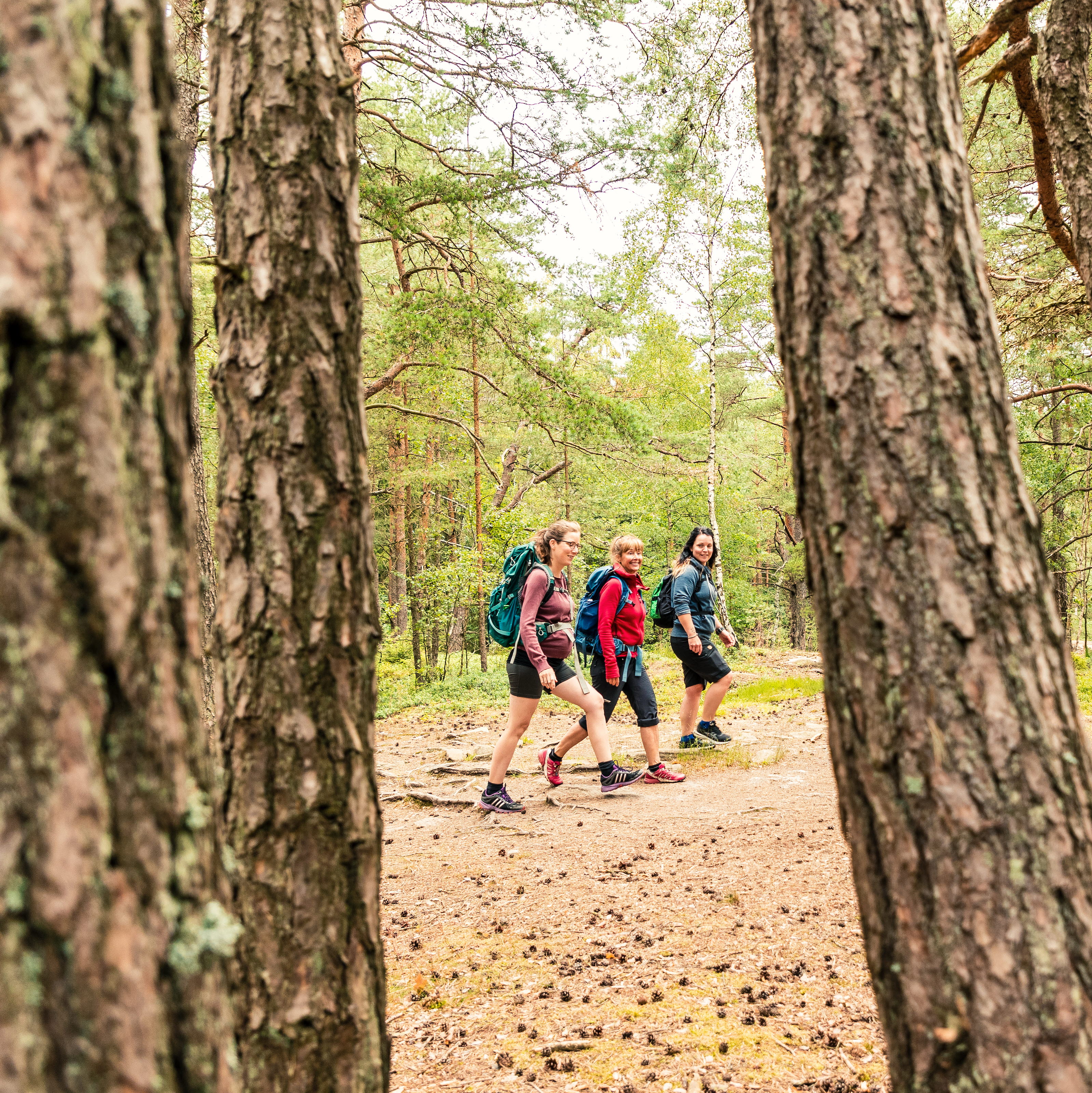 Vandrare längst med Bohusleden