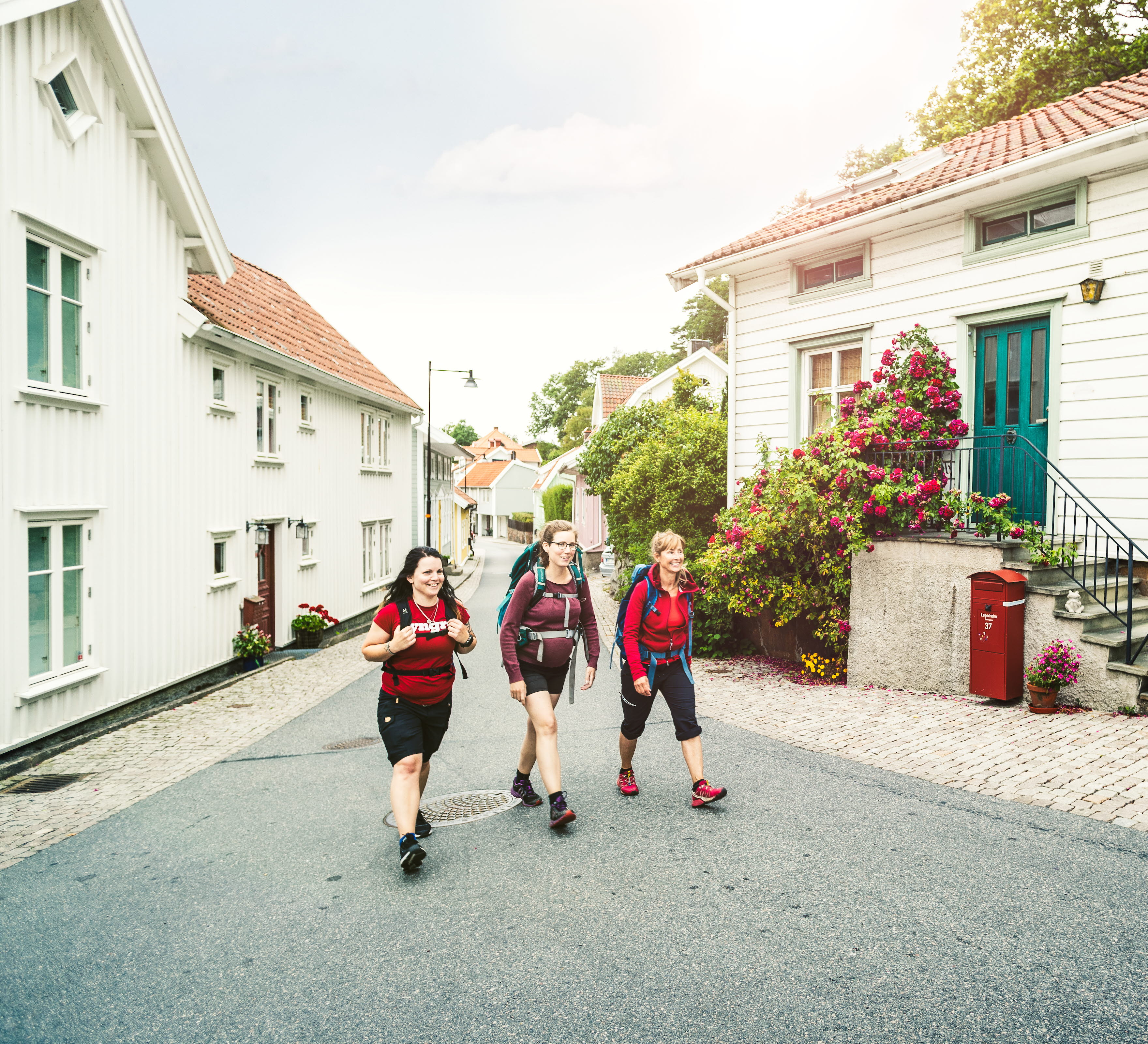 Hikers along Bohusleden