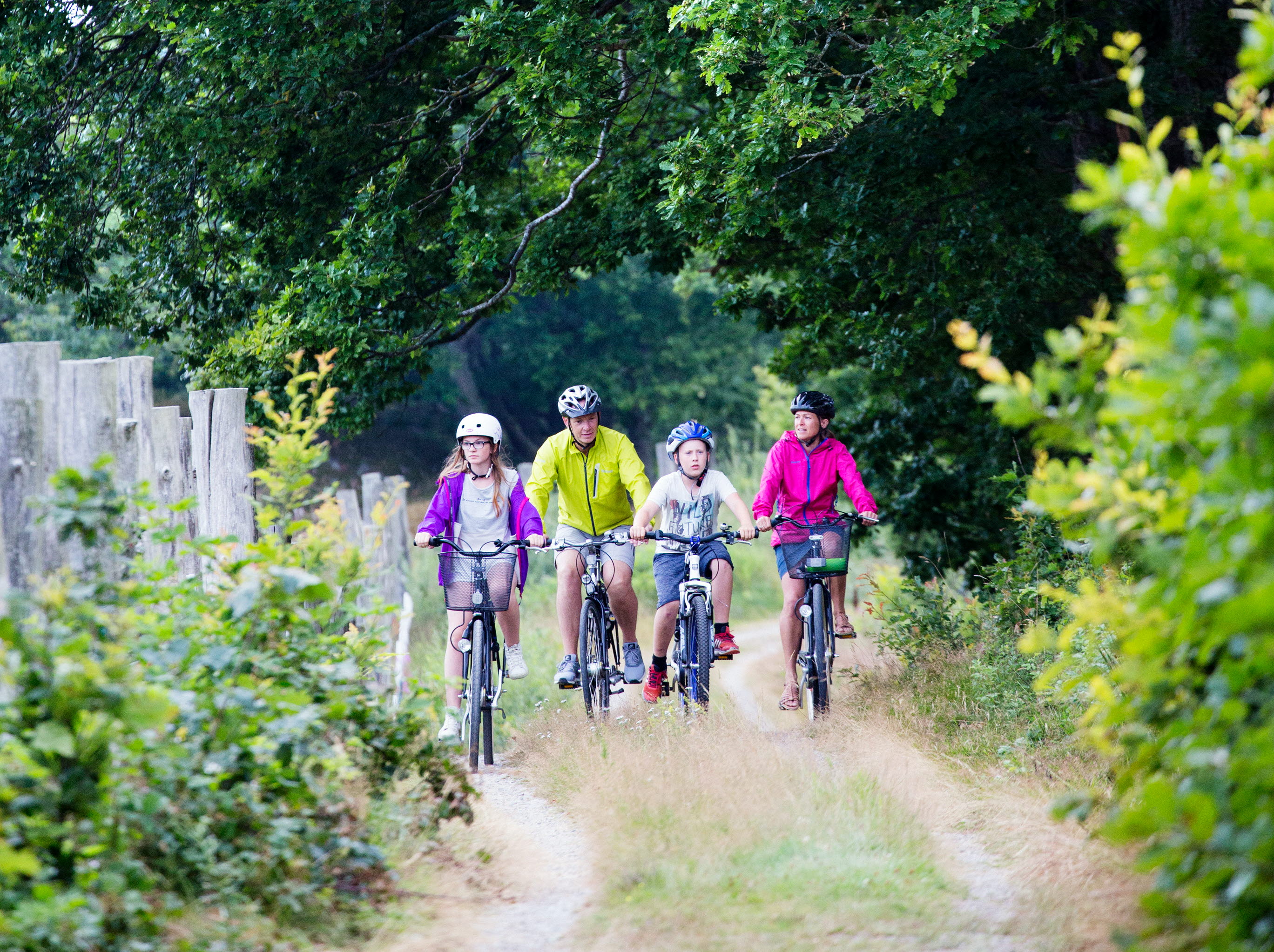 Familj cyklar på en grusväg