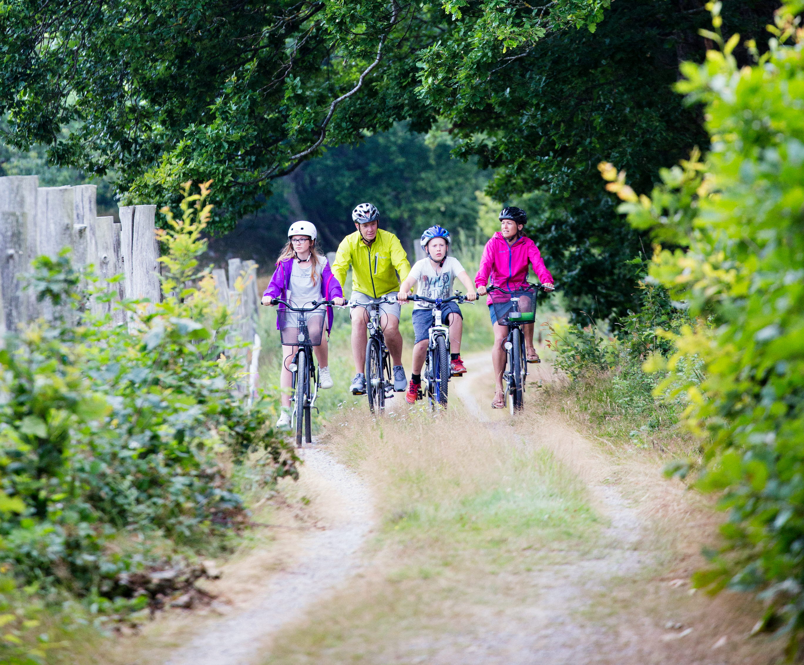 Family on bikes