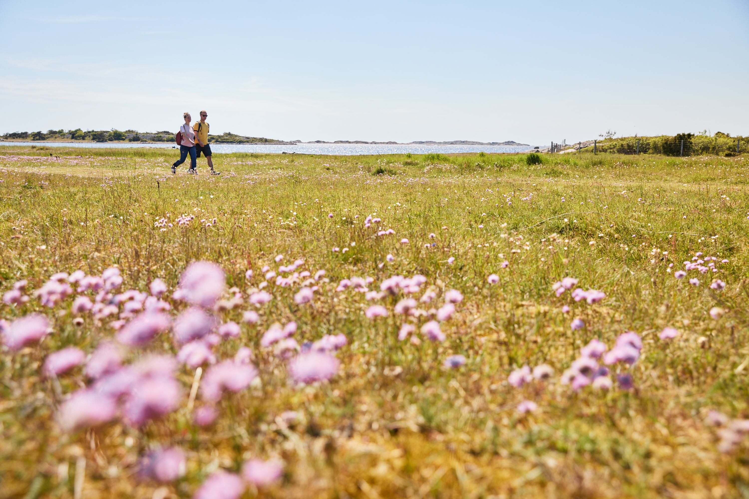 Två personer vandrar på en ö.