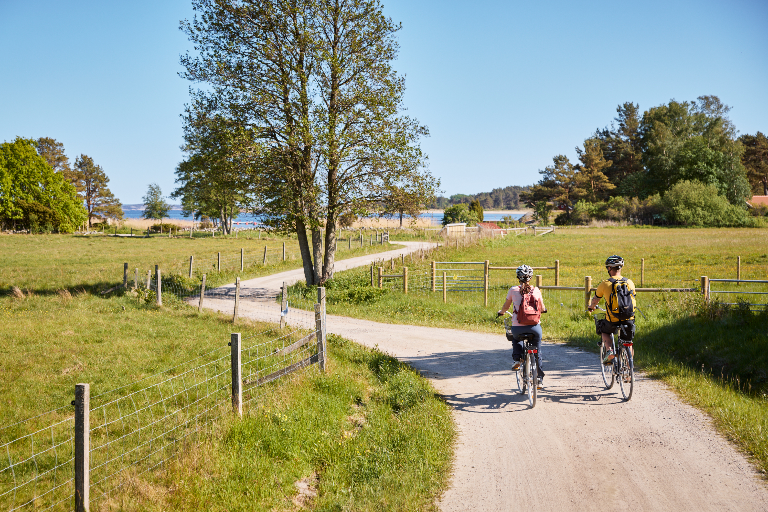 Two people are cycling on an island.