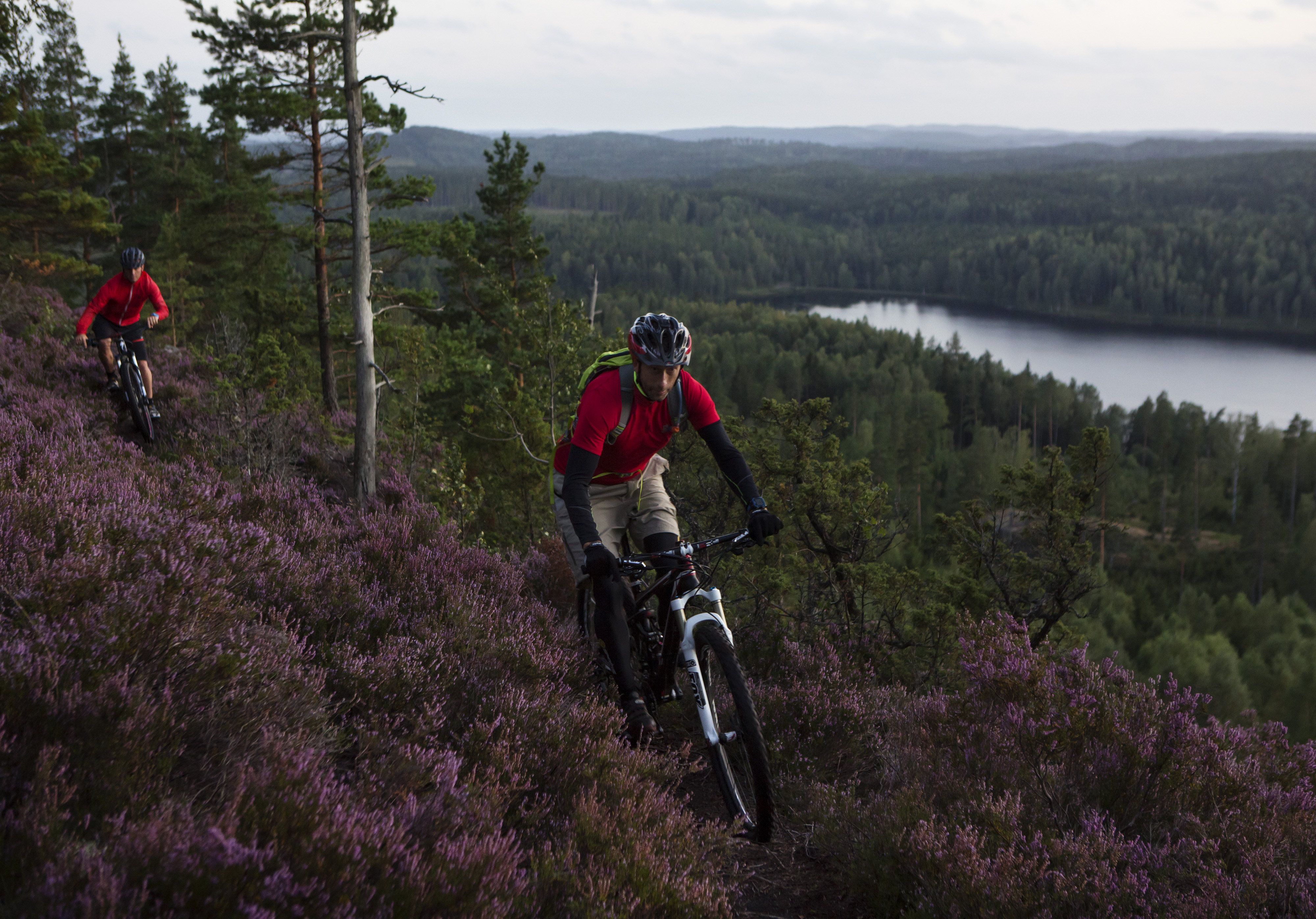 Two men on mountainbikes in the forrest
