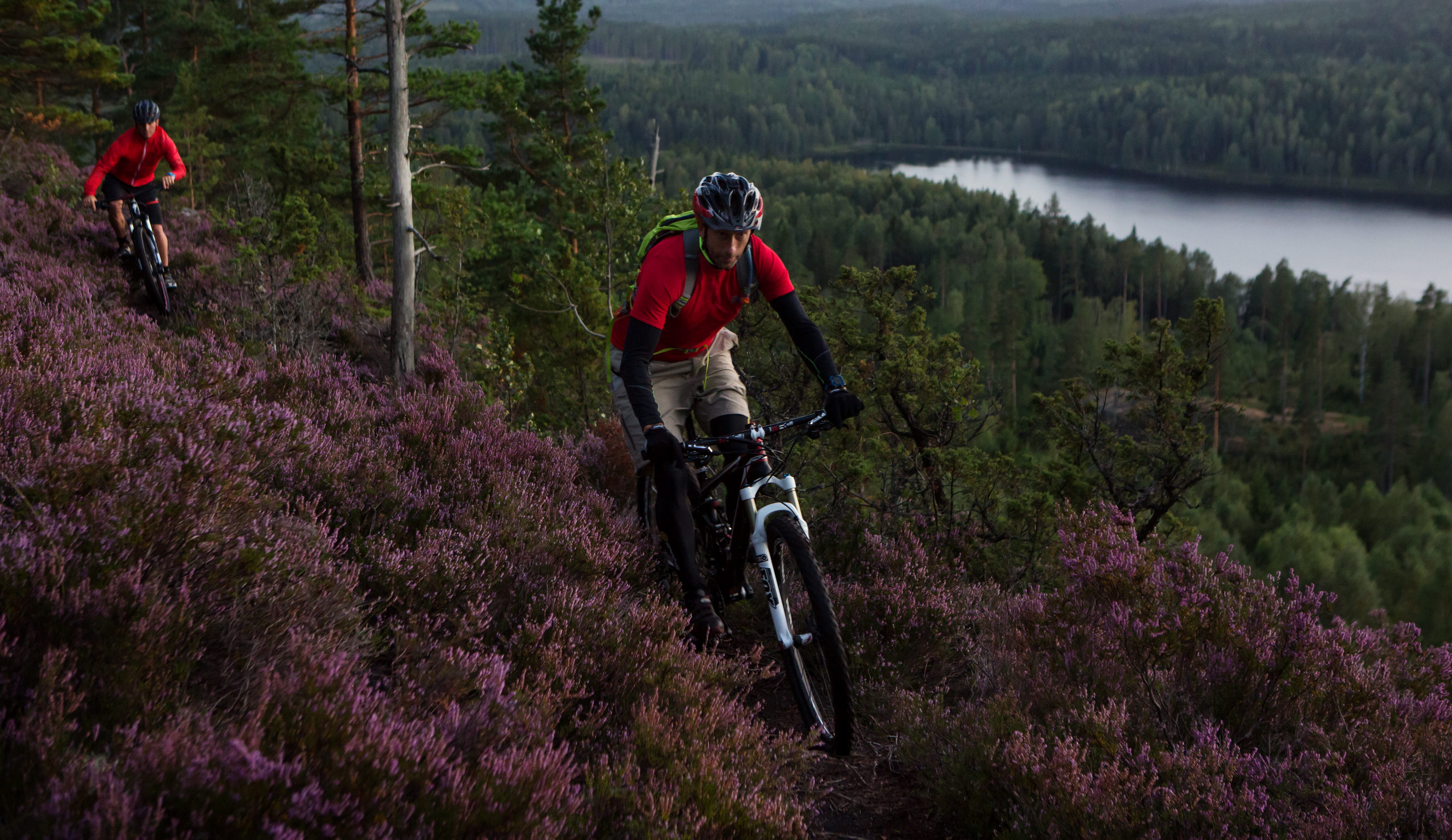 Två män cyklar mountainbike på skogsstig
