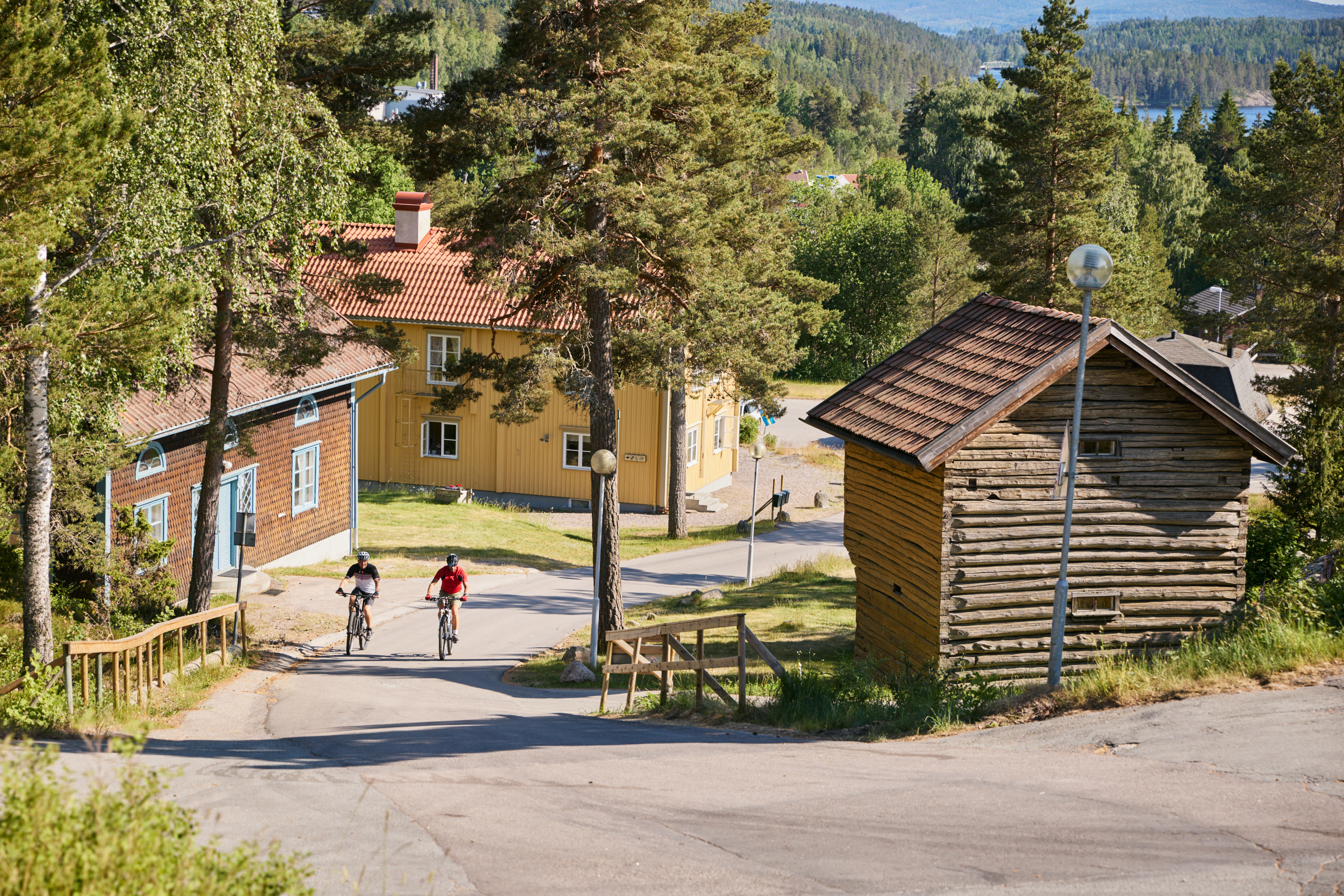 Group of people cycling.
