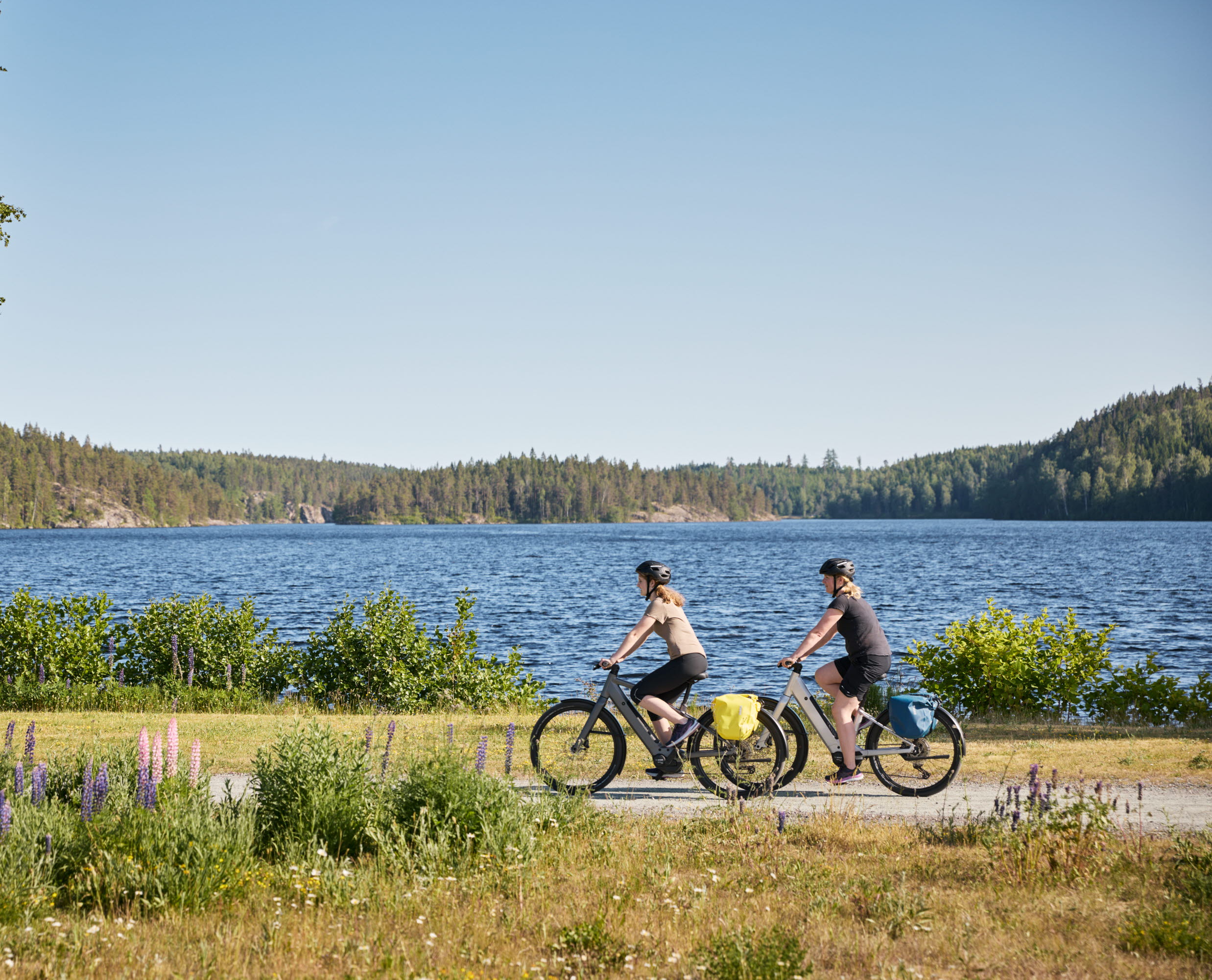 Group of people cycling.
