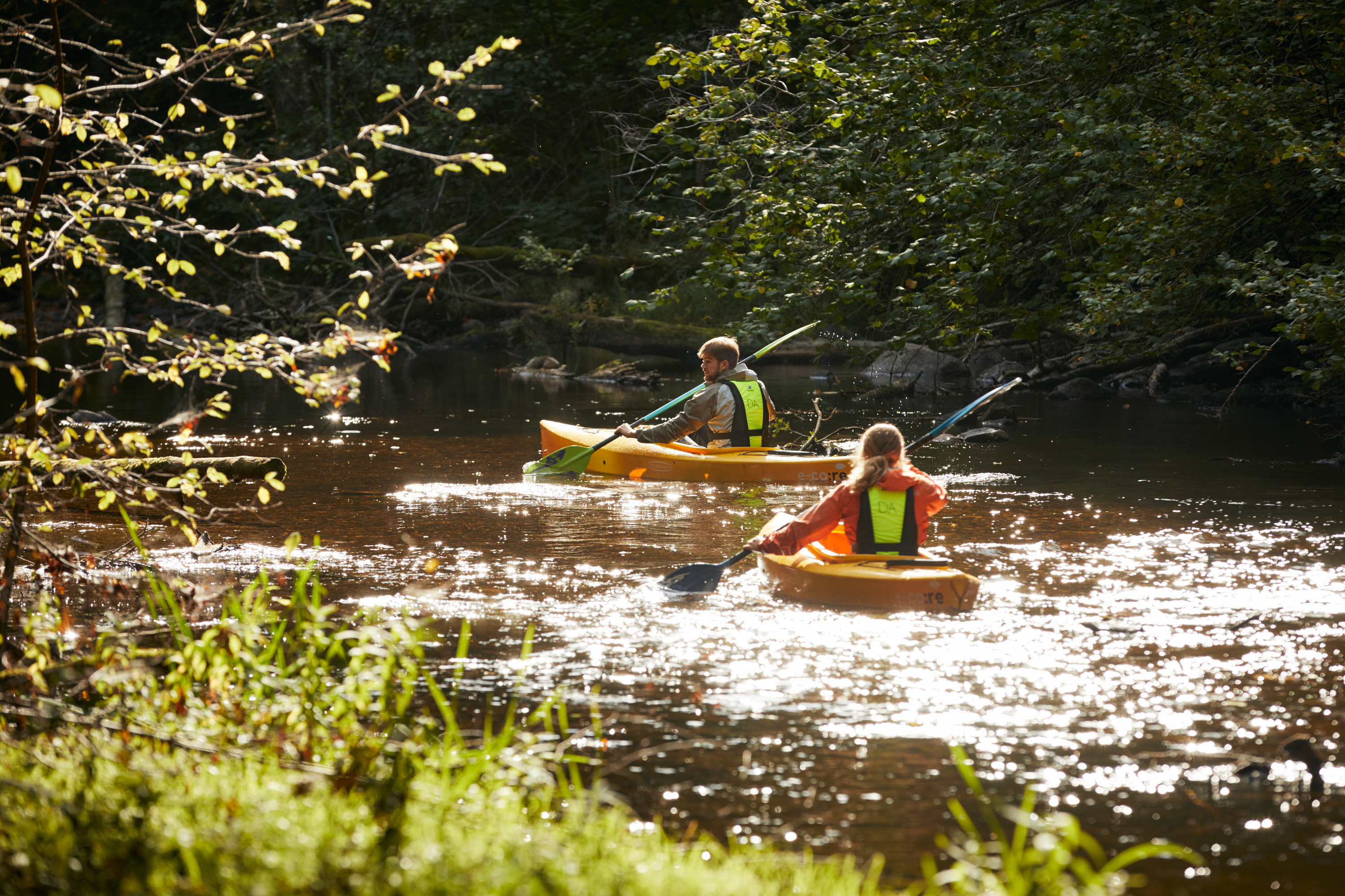Paddla hos Dalslands Aktiviteter