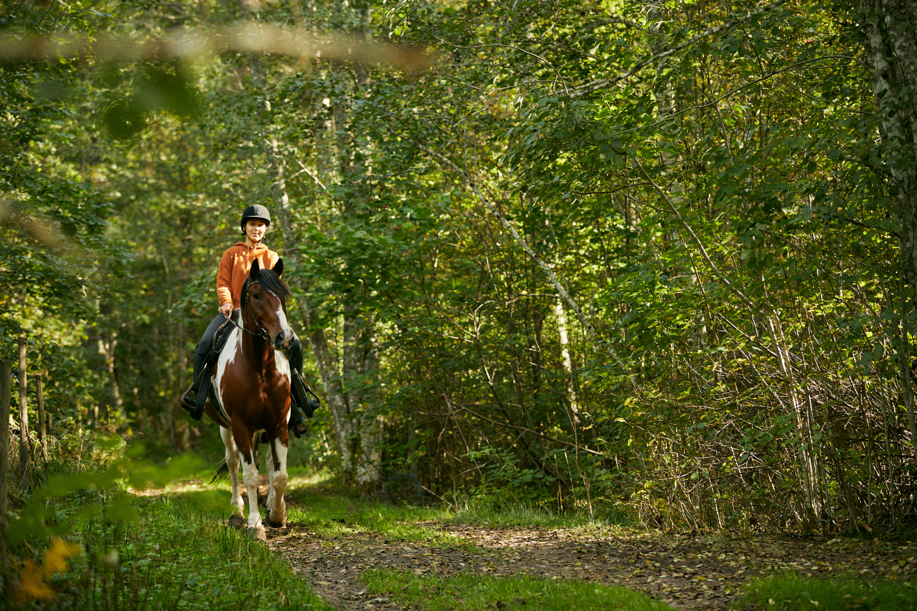 Turrudning hos Dalslands Aktiviteter