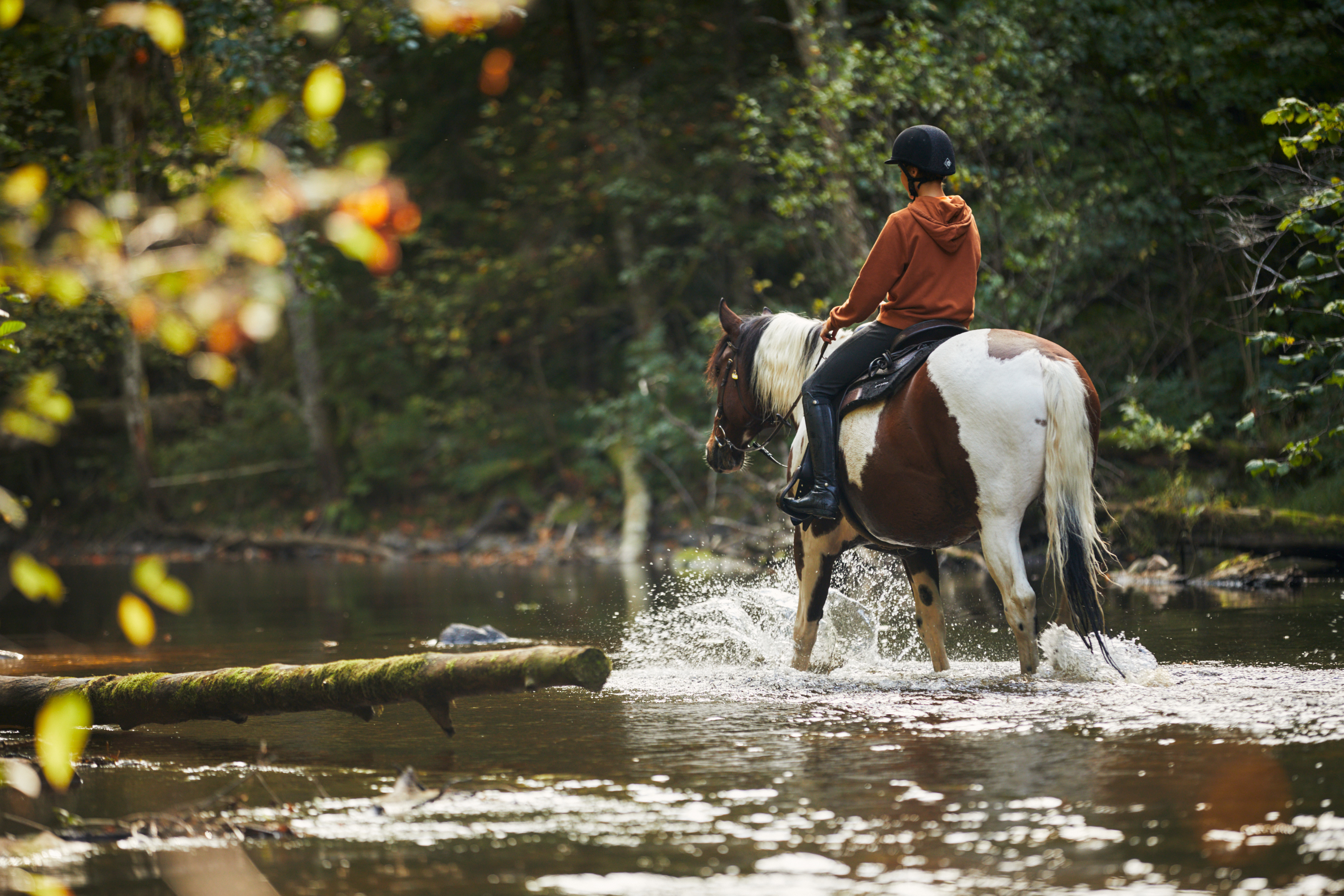 Turrudning hos Dalslands Aktiviteter