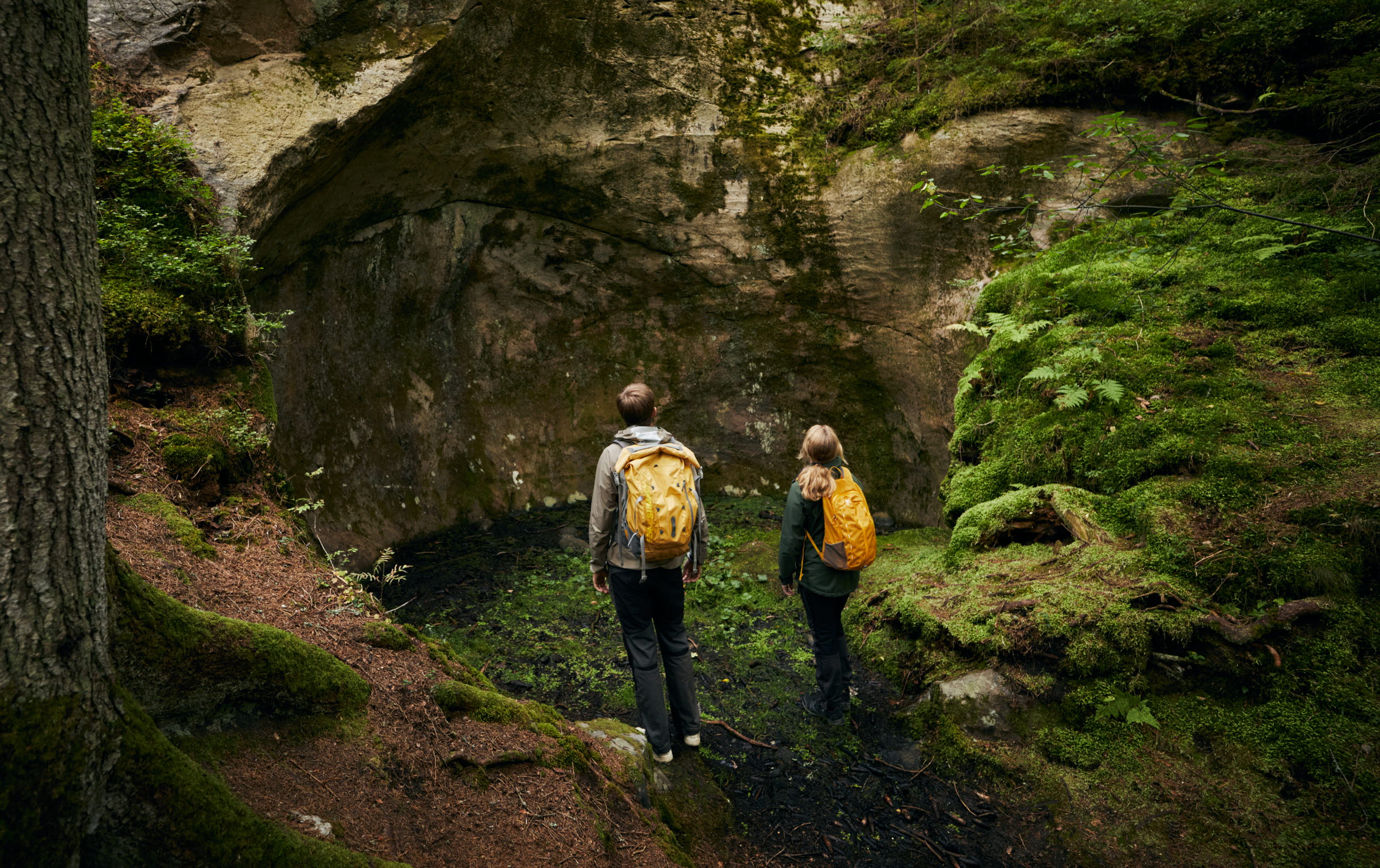 Vandring hos Dalslands Aktiviteter