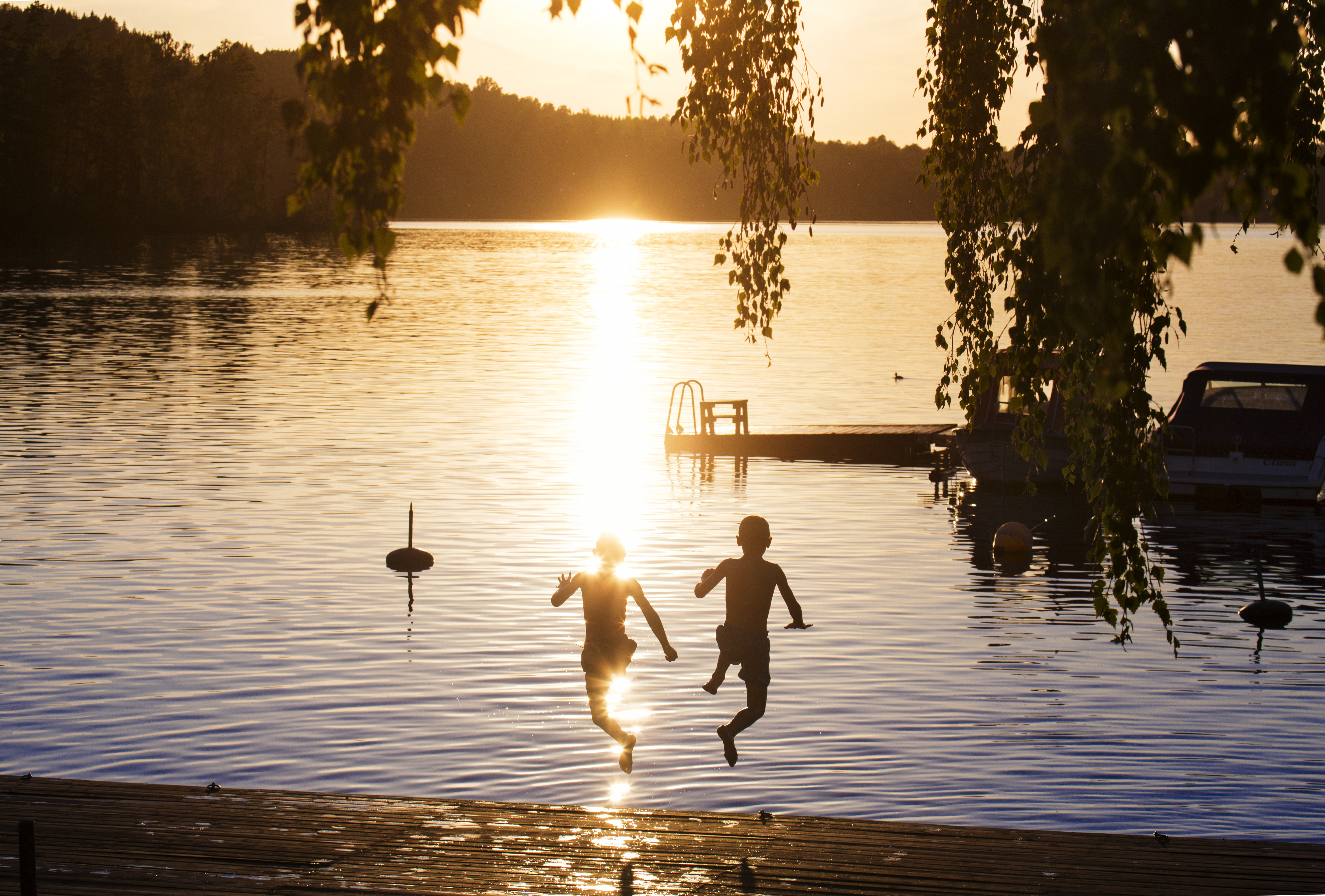 The nature of Dalsland