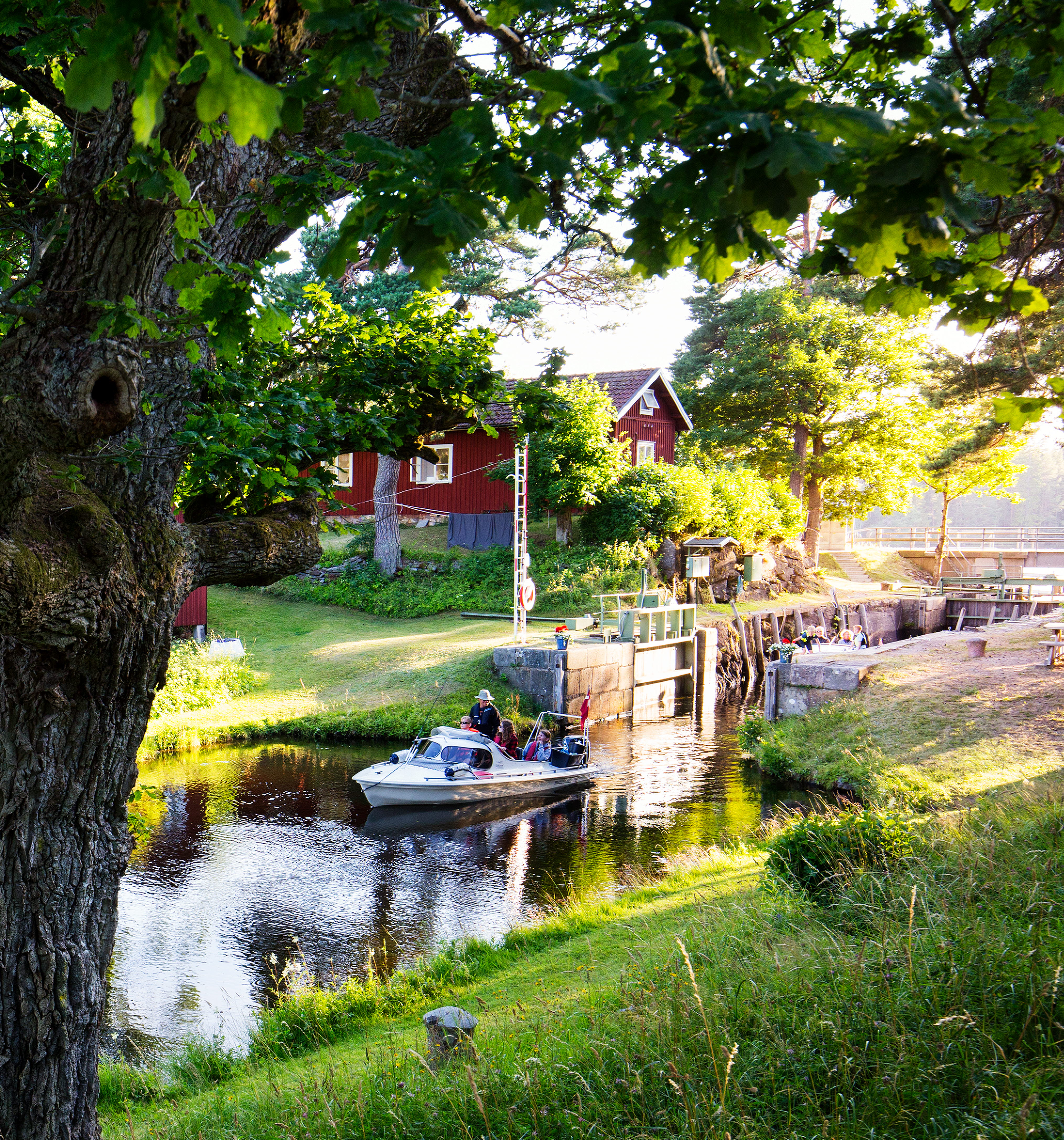 The nature of Dalsland