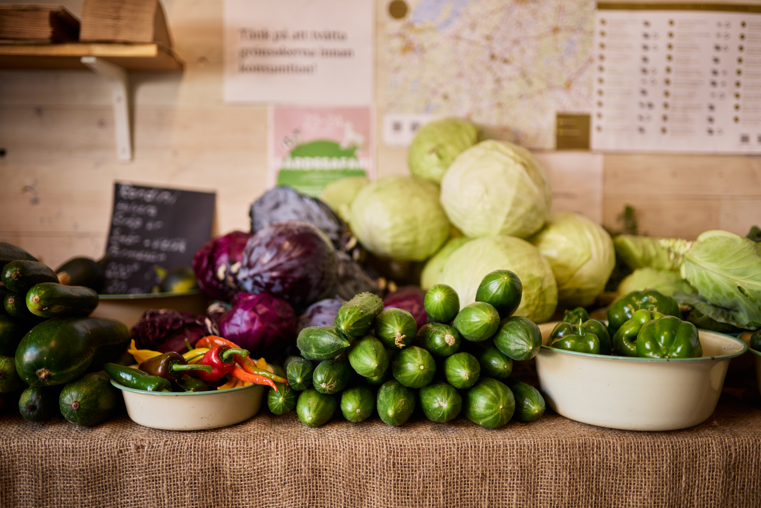 Grönsaksodling på en gård.