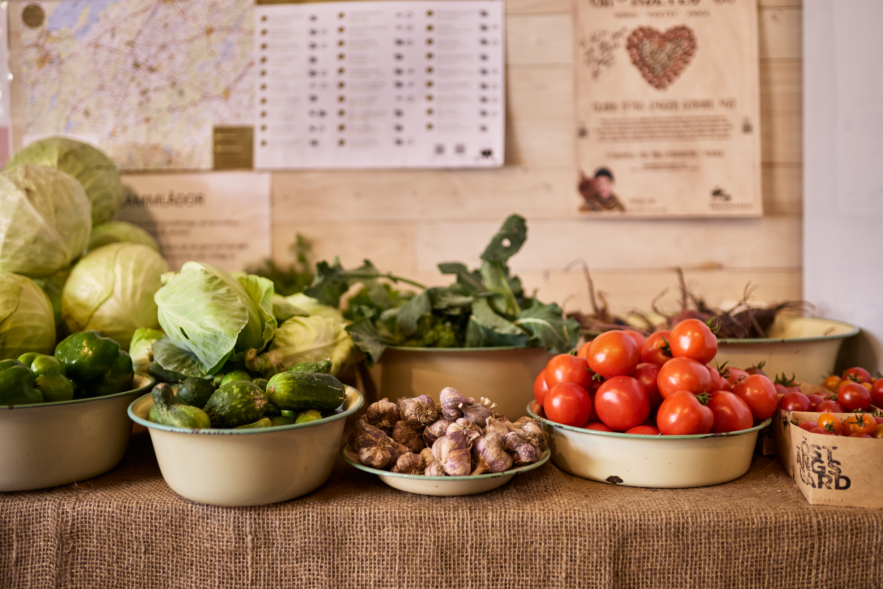 Grönsaksodling på en gård.