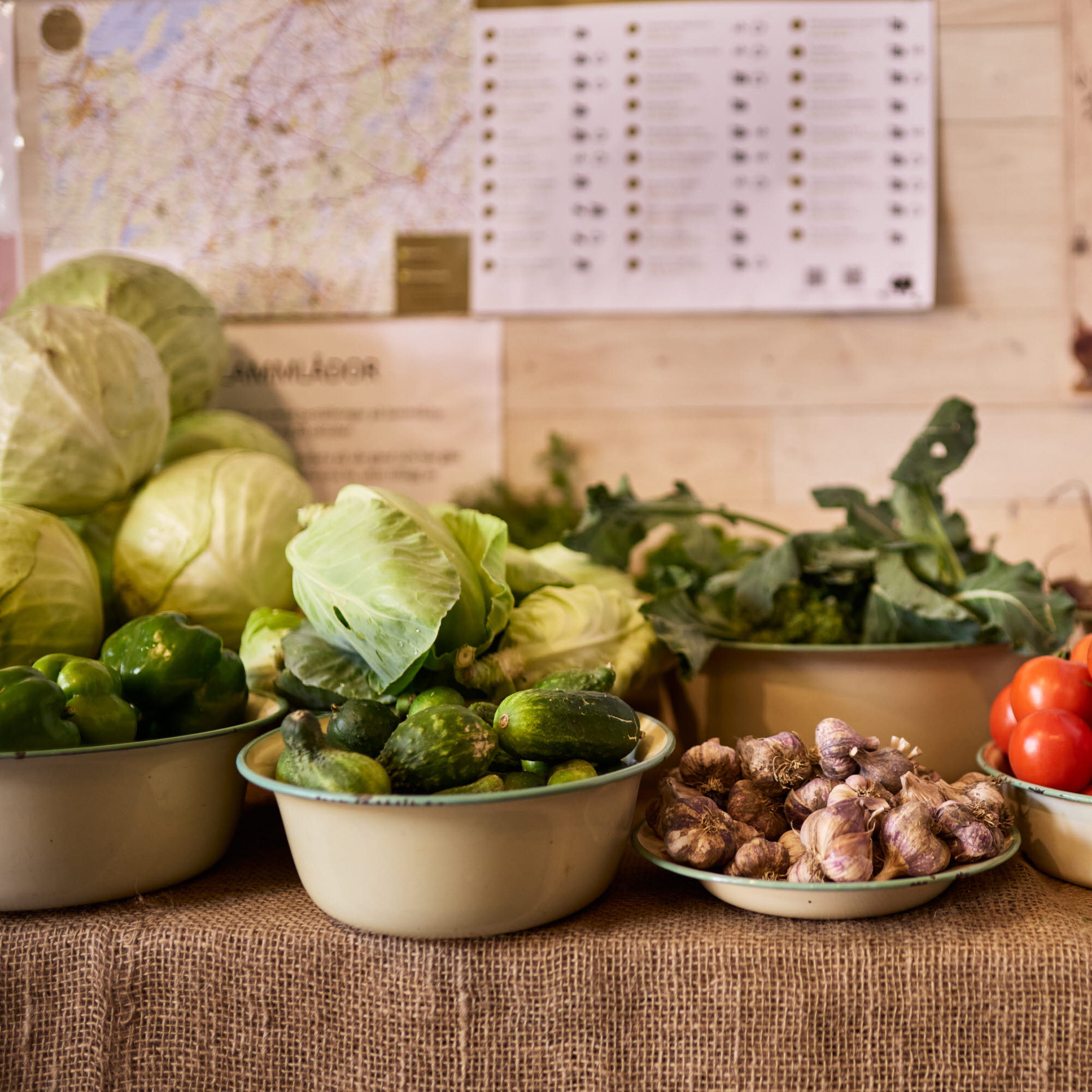 Grönsaksodling på en gård.