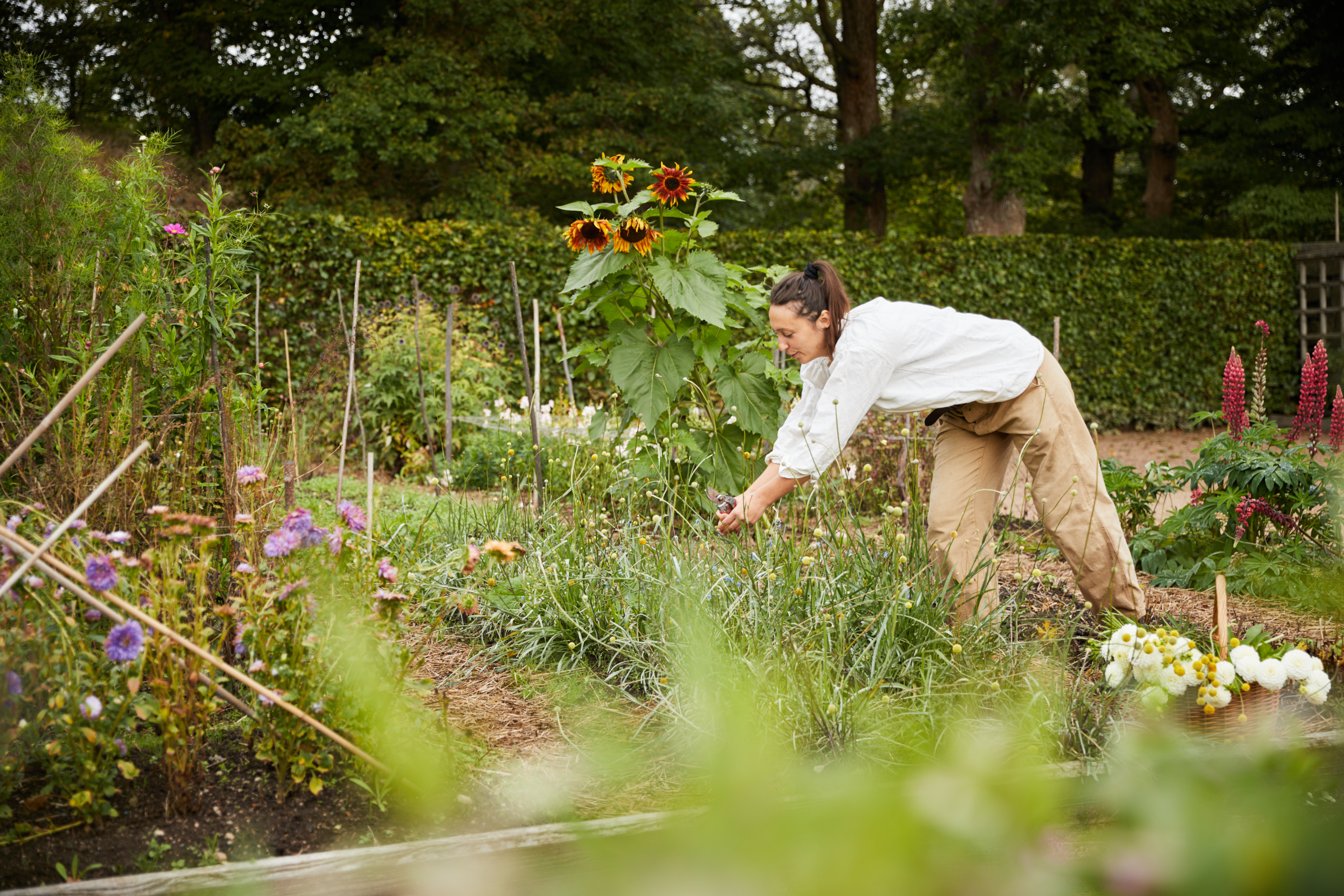 Gunnebo House and Gardens