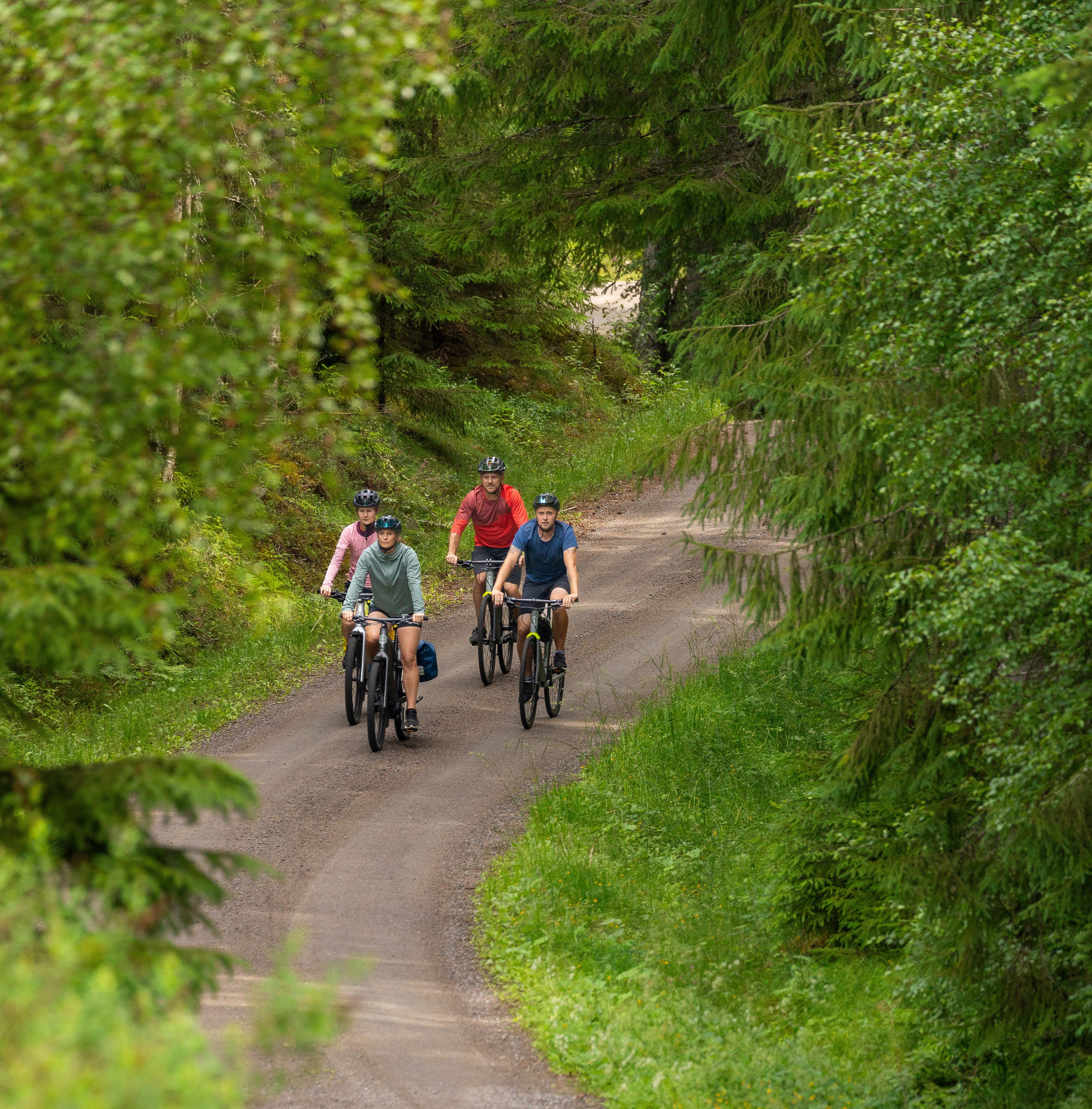Cyclists on forest roads.