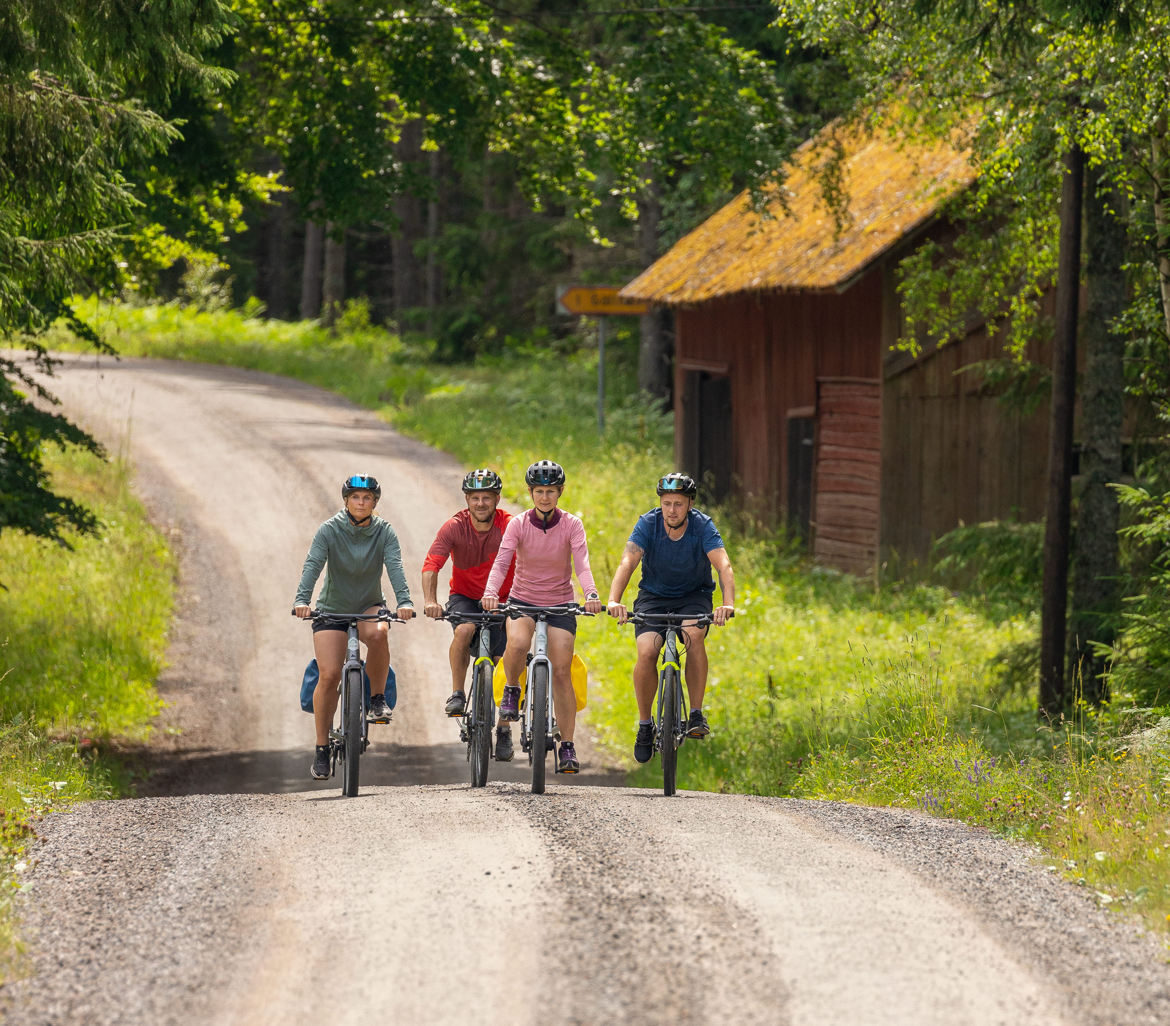 Cyclists on forest roads.